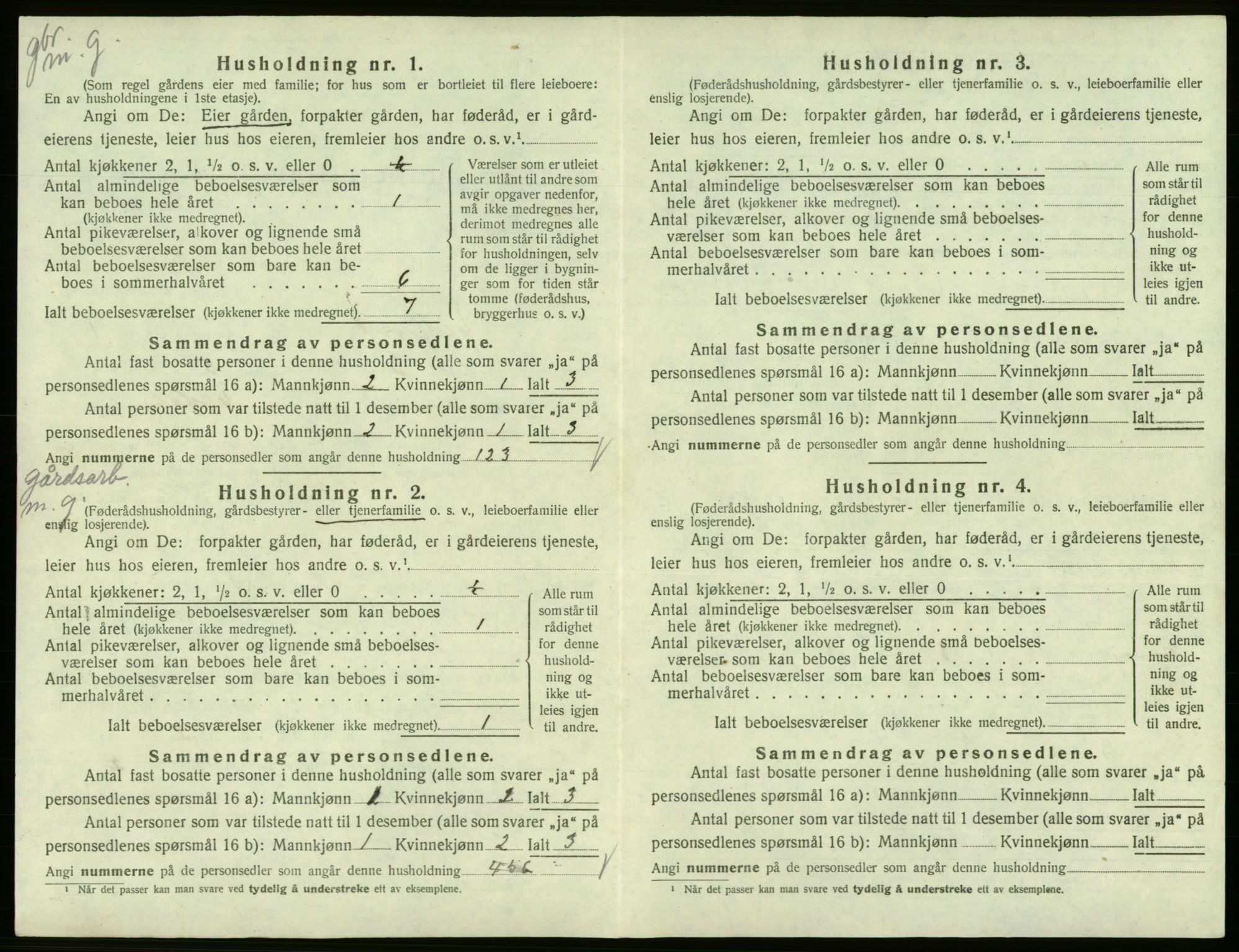 SAB, 1920 census for Eidfjord, 1920, p. 33