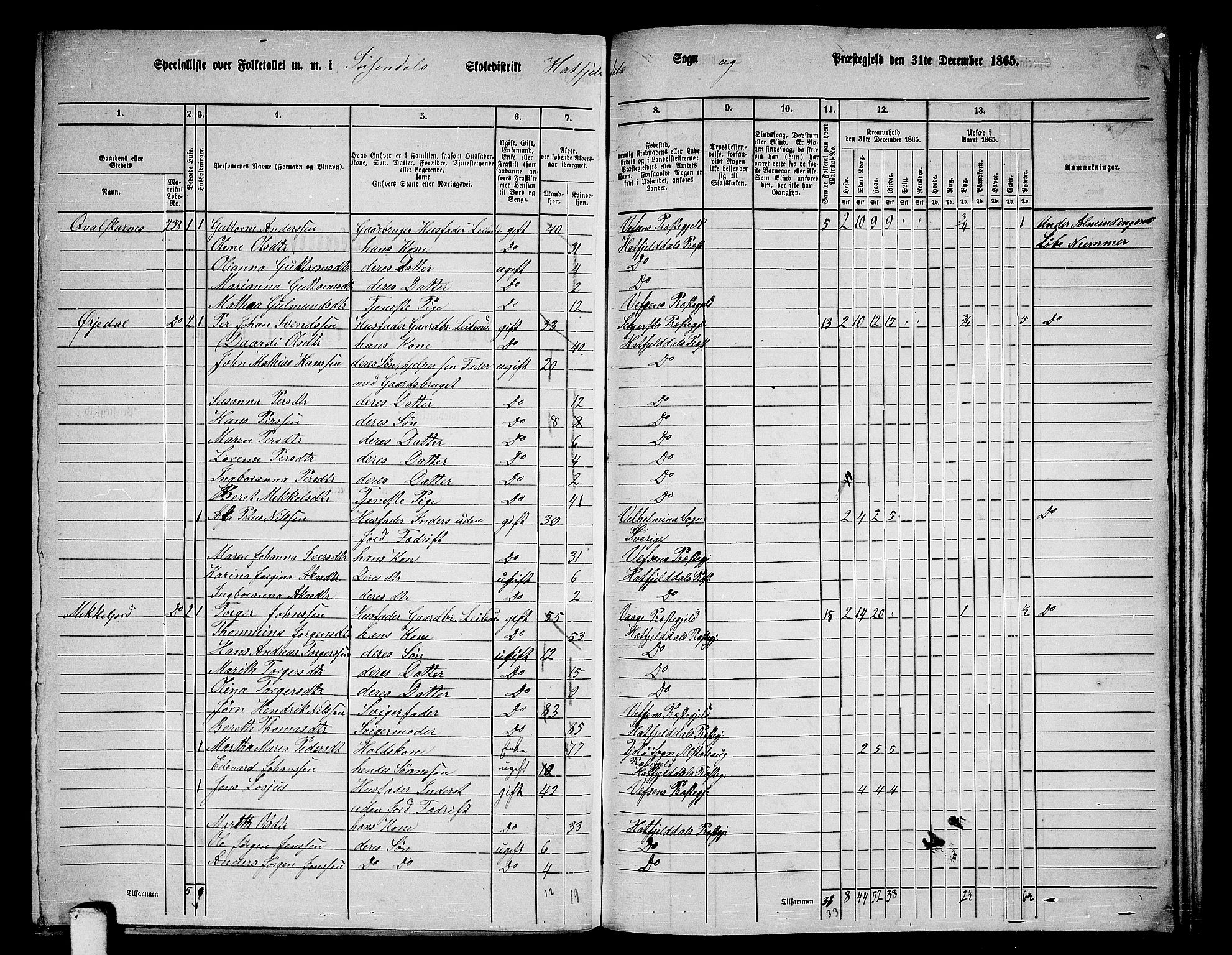 RA, 1865 census for Hattfjelldal, 1865, p. 19