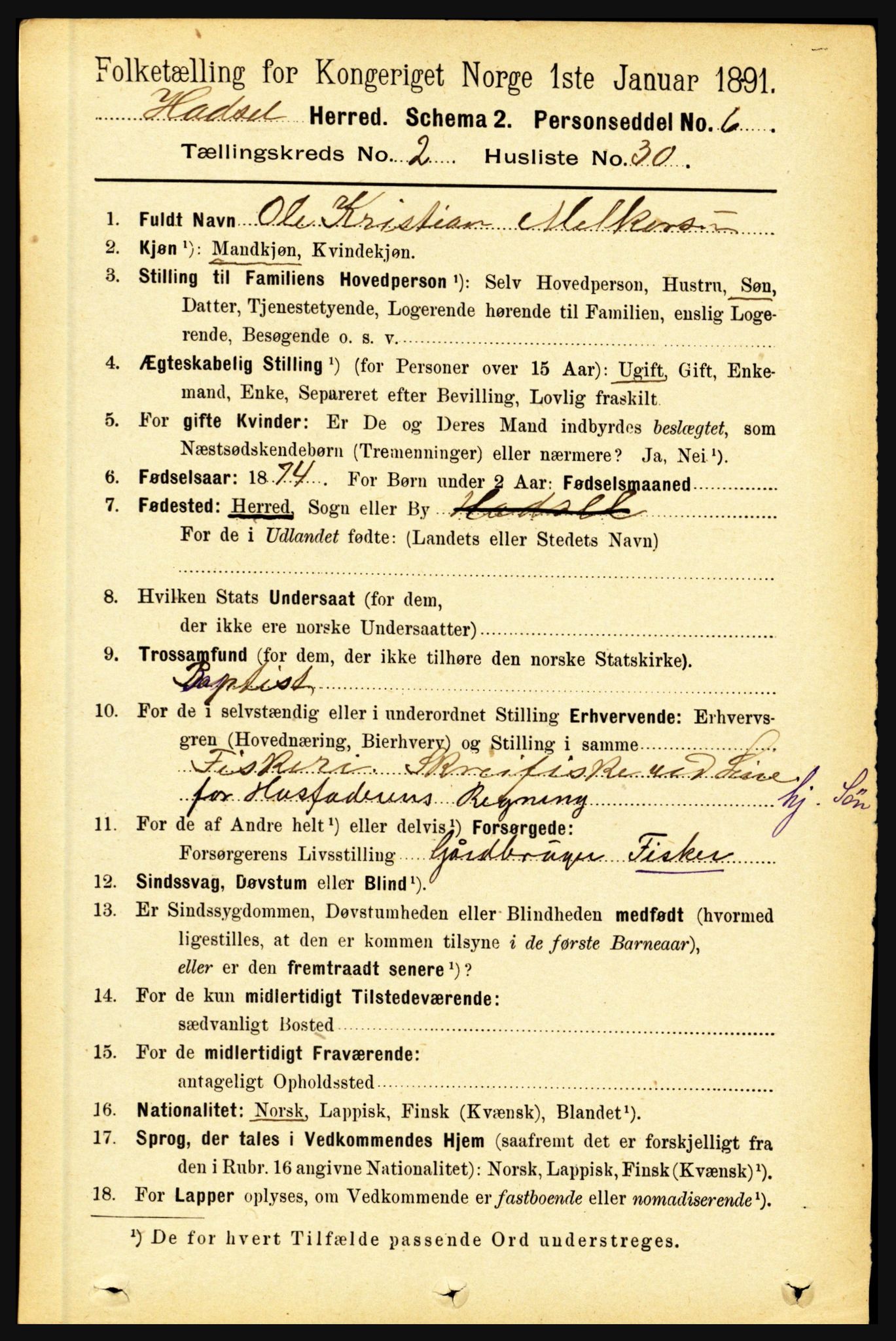 RA, 1891 census for 1866 Hadsel, 1891, p. 845