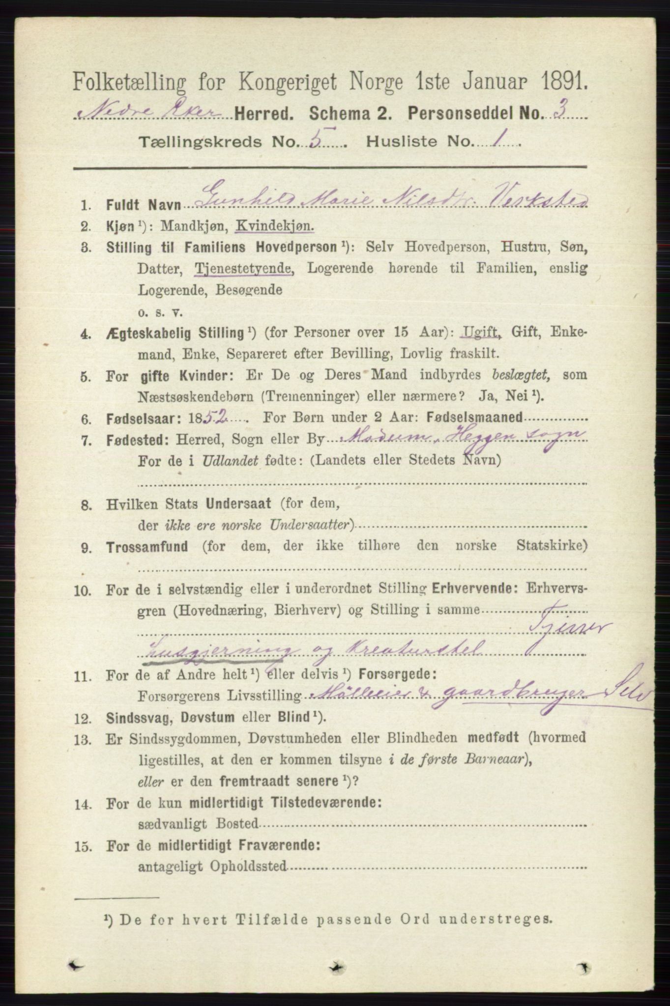 RA, 1891 census for 0625 Nedre Eiker, 1891, p. 2338