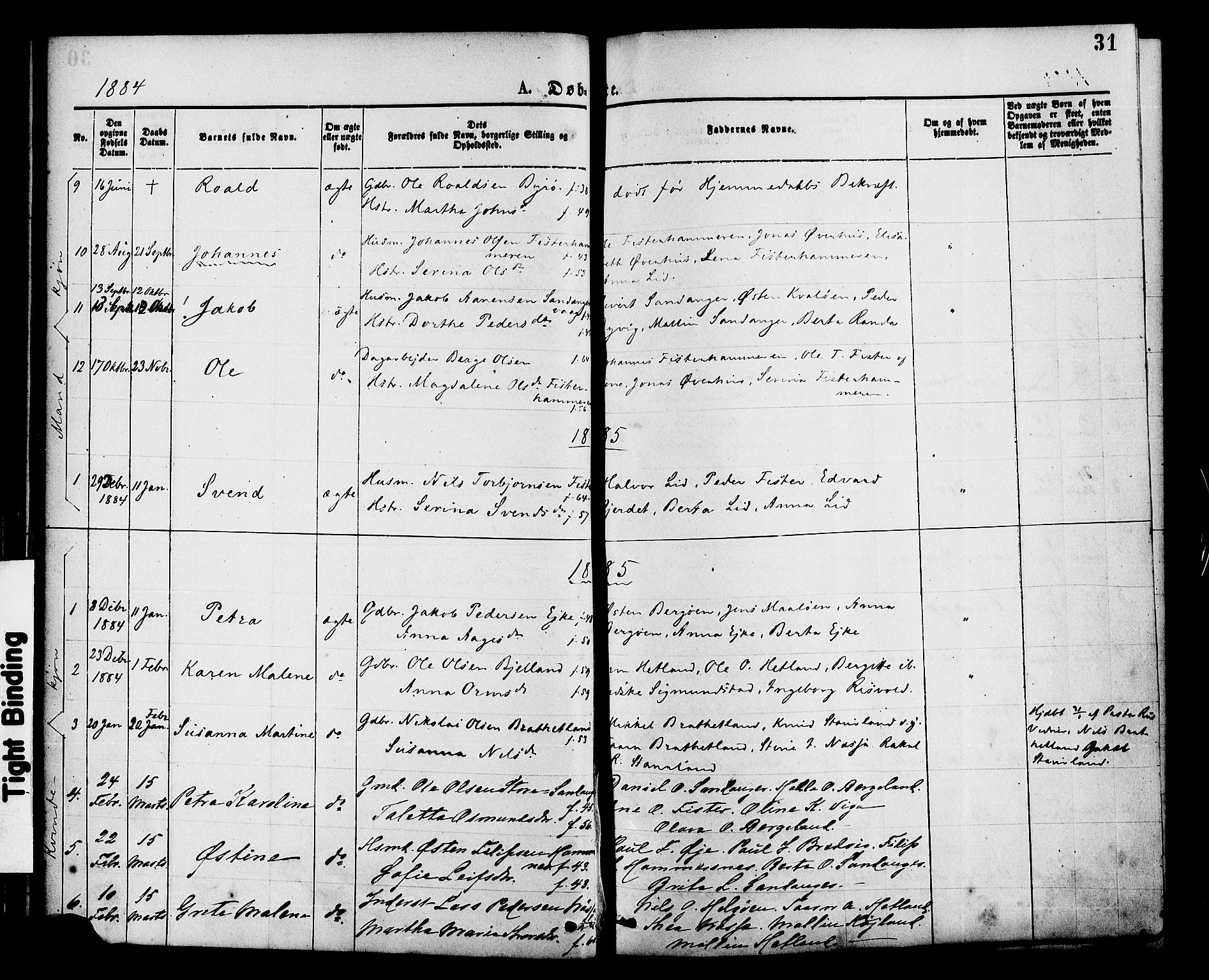 Hjelmeland sokneprestkontor, SAST/A-101843/01/IV/L0013: Parish register (official) no. A 13, 1872-1886, p. 31