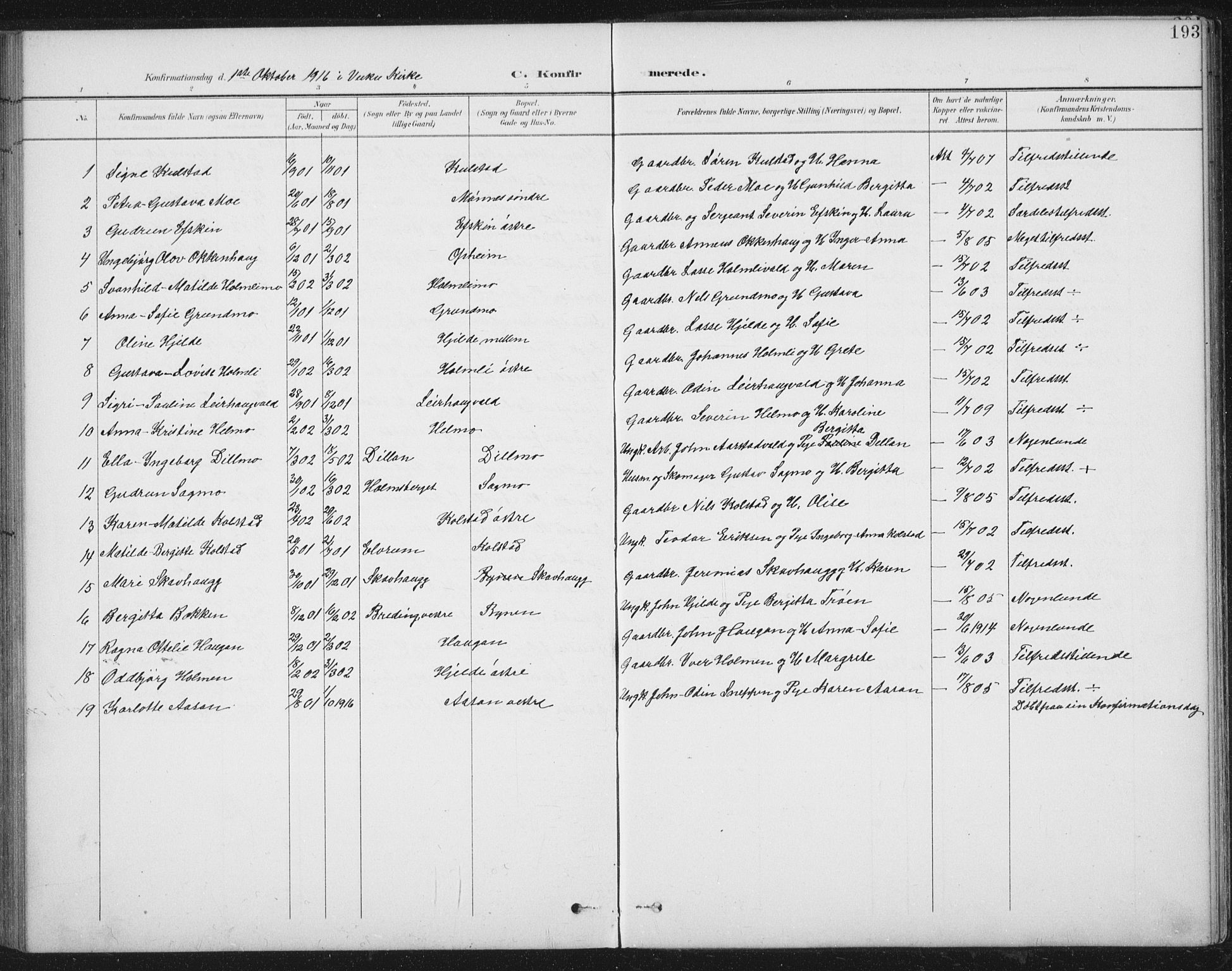 Ministerialprotokoller, klokkerbøker og fødselsregistre - Nord-Trøndelag, SAT/A-1458/724/L0269: Parish register (copy) no. 724C05, 1899-1920, p. 193