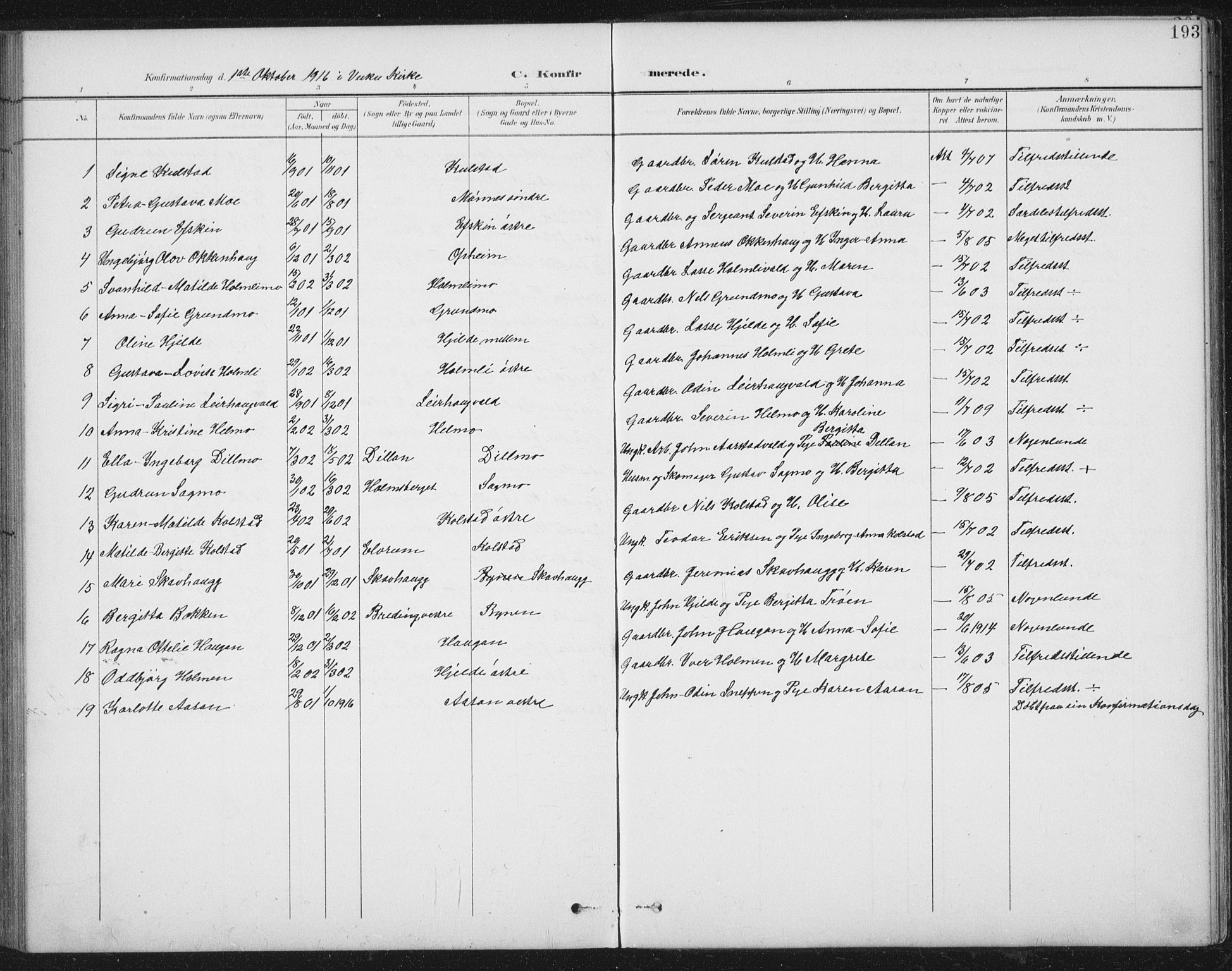 Ministerialprotokoller, klokkerbøker og fødselsregistre - Nord-Trøndelag, AV/SAT-A-1458/724/L0269: Parish register (copy) no. 724C05, 1899-1920, p. 193