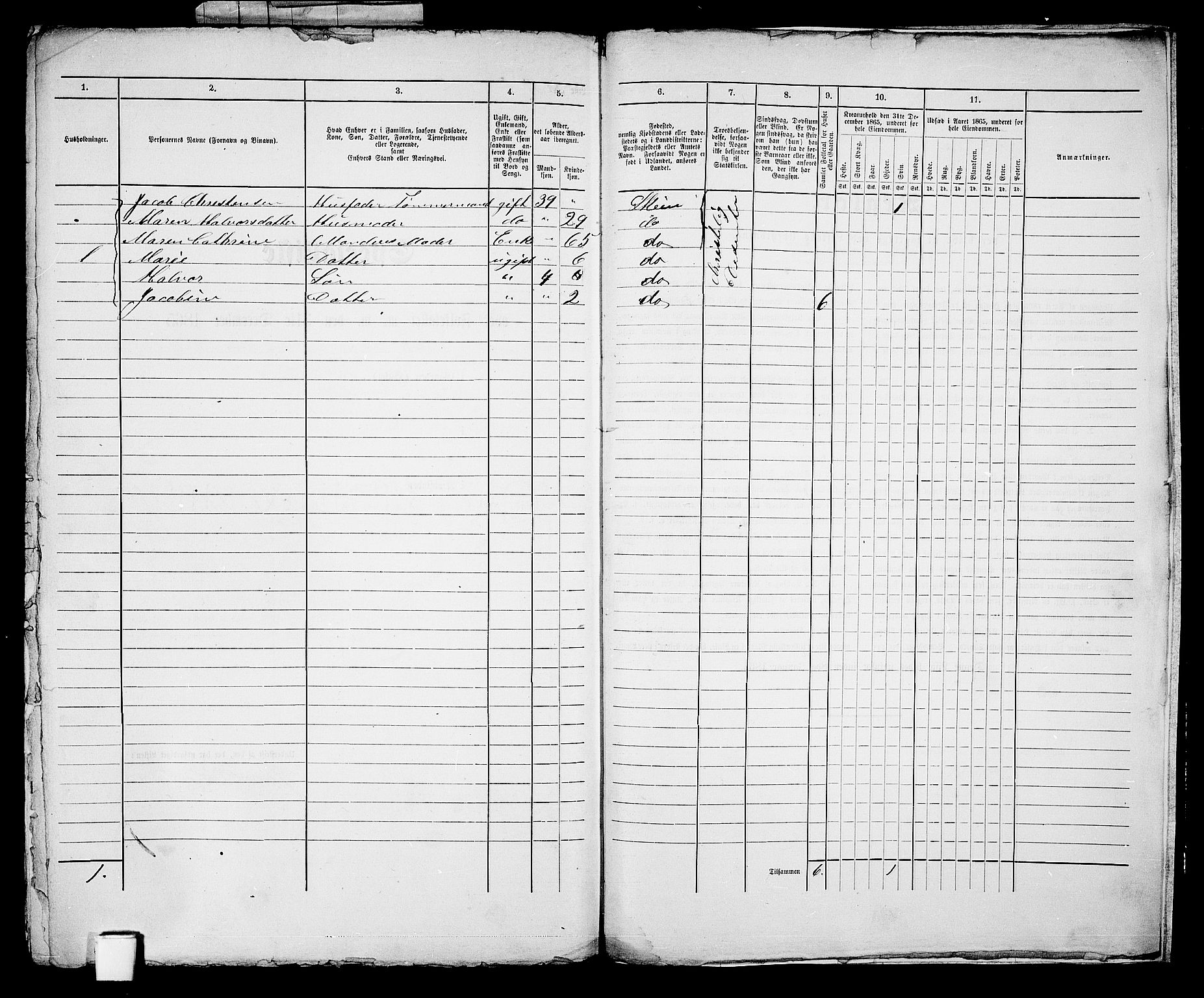 RA, 1865 census for Skien, 1865, p. 14