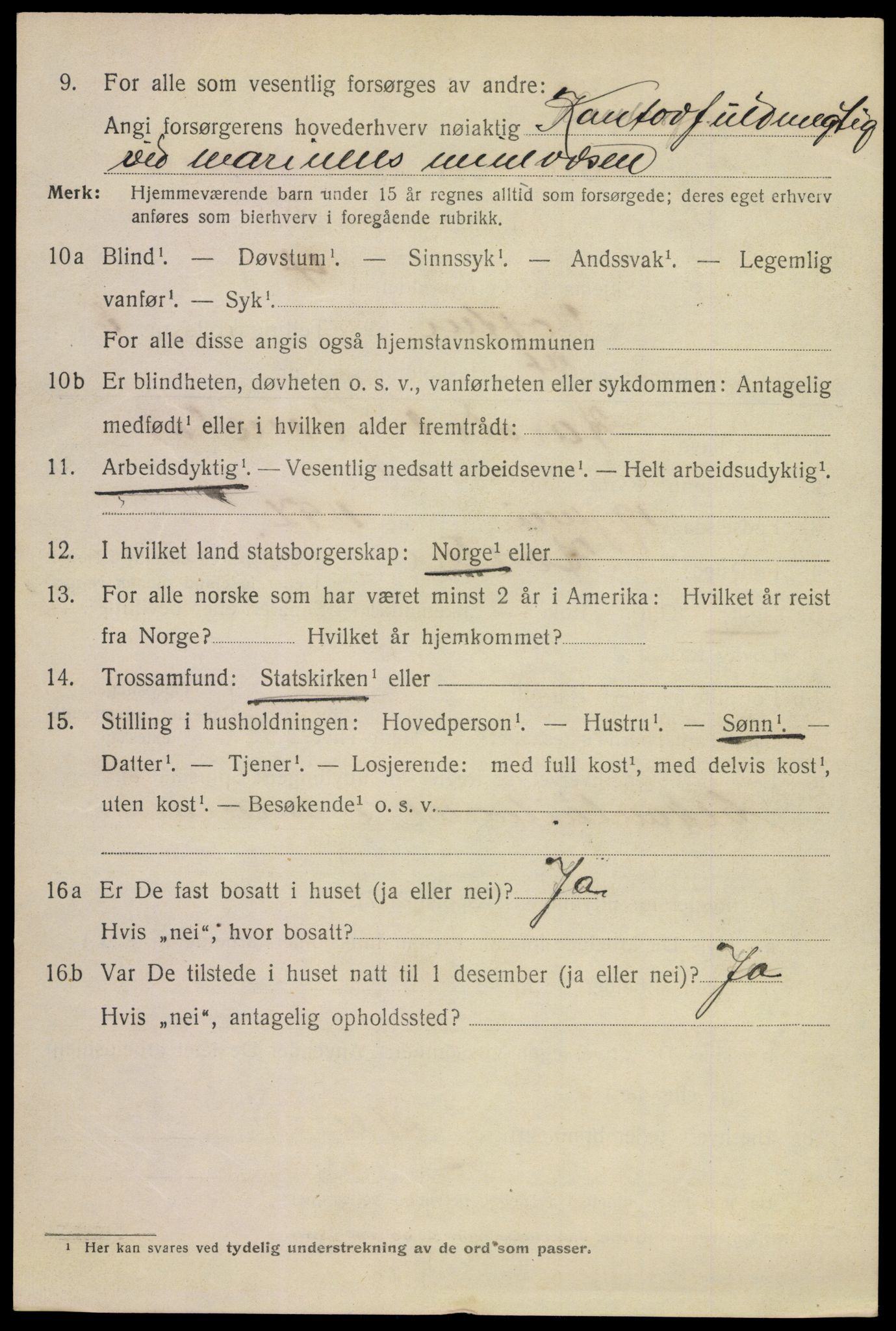SAKO, 1920 census for Horten, 1920, p. 20728