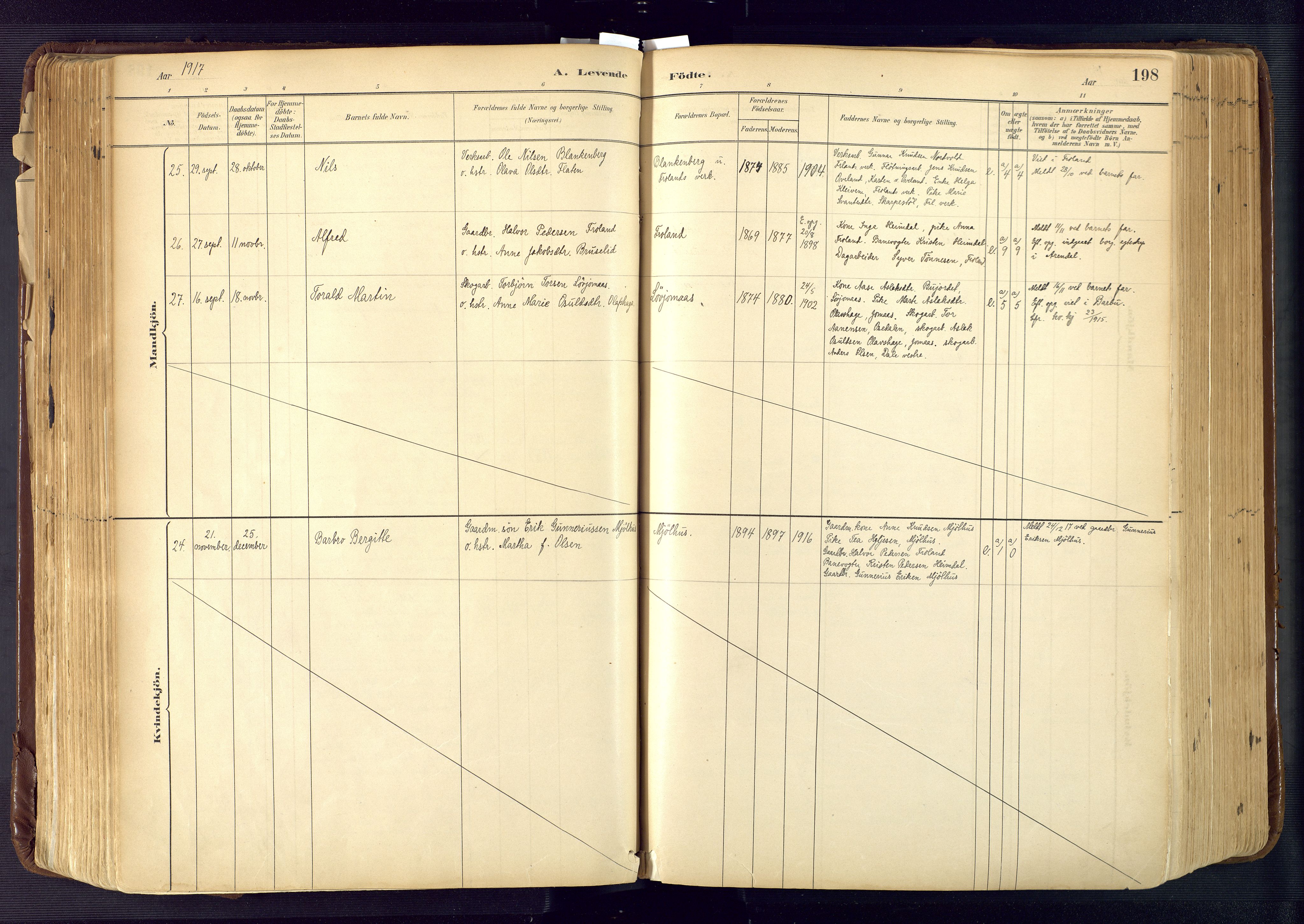 Froland sokneprestkontor, AV/SAK-1111-0013/F/Fa/L0005: Parish register (official) no. A 5, 1882-1921, p. 198