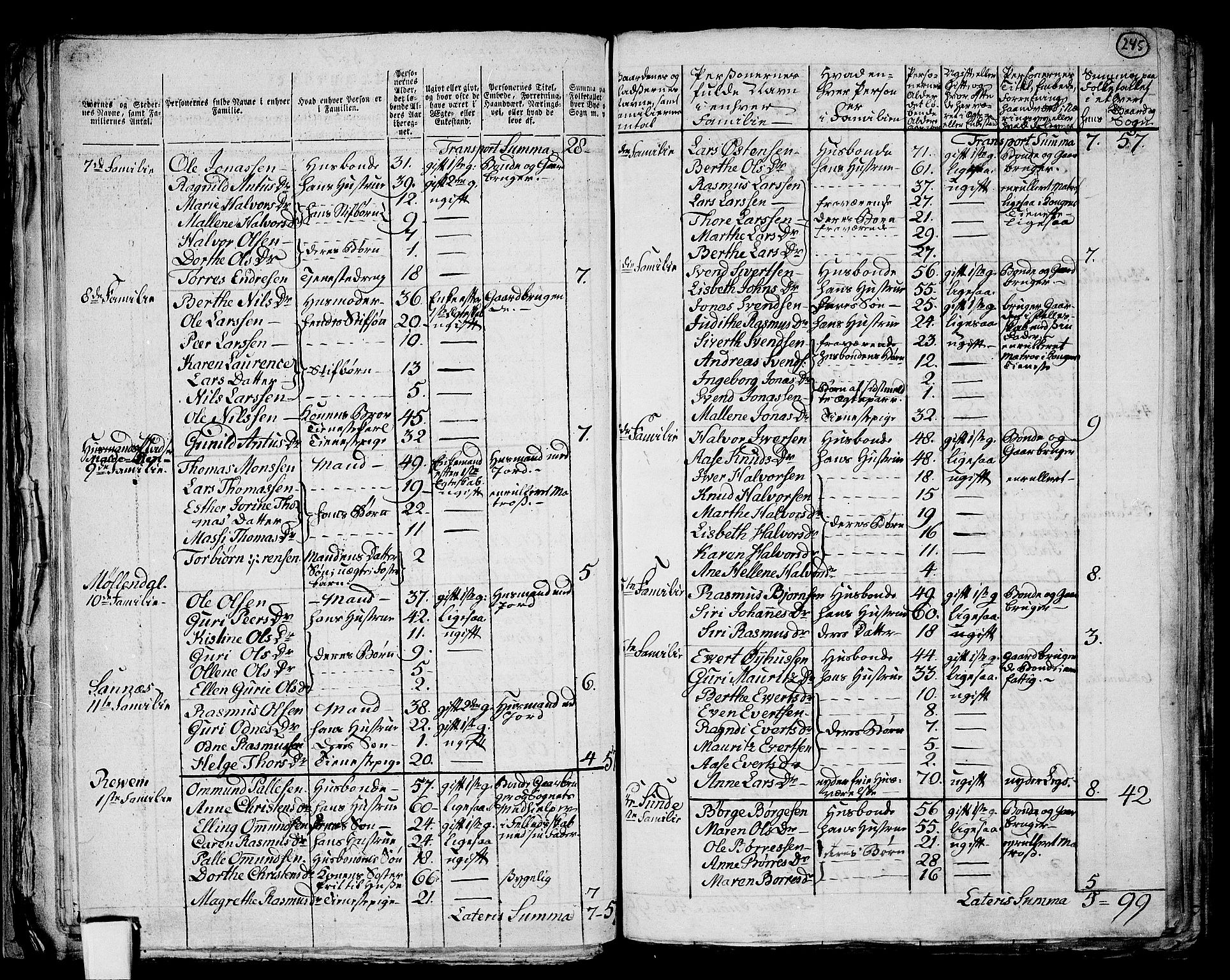 RA, 1801 census for 1124P Håland, 1801, p. 244b-245a