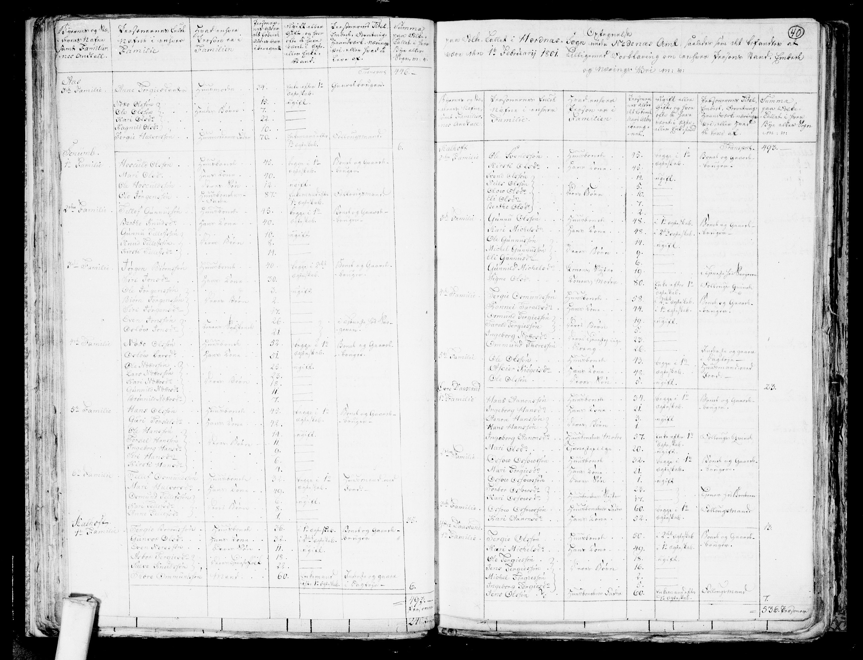 RA, 1801 census for 0934P Evje, 1801, p. 39b-40a