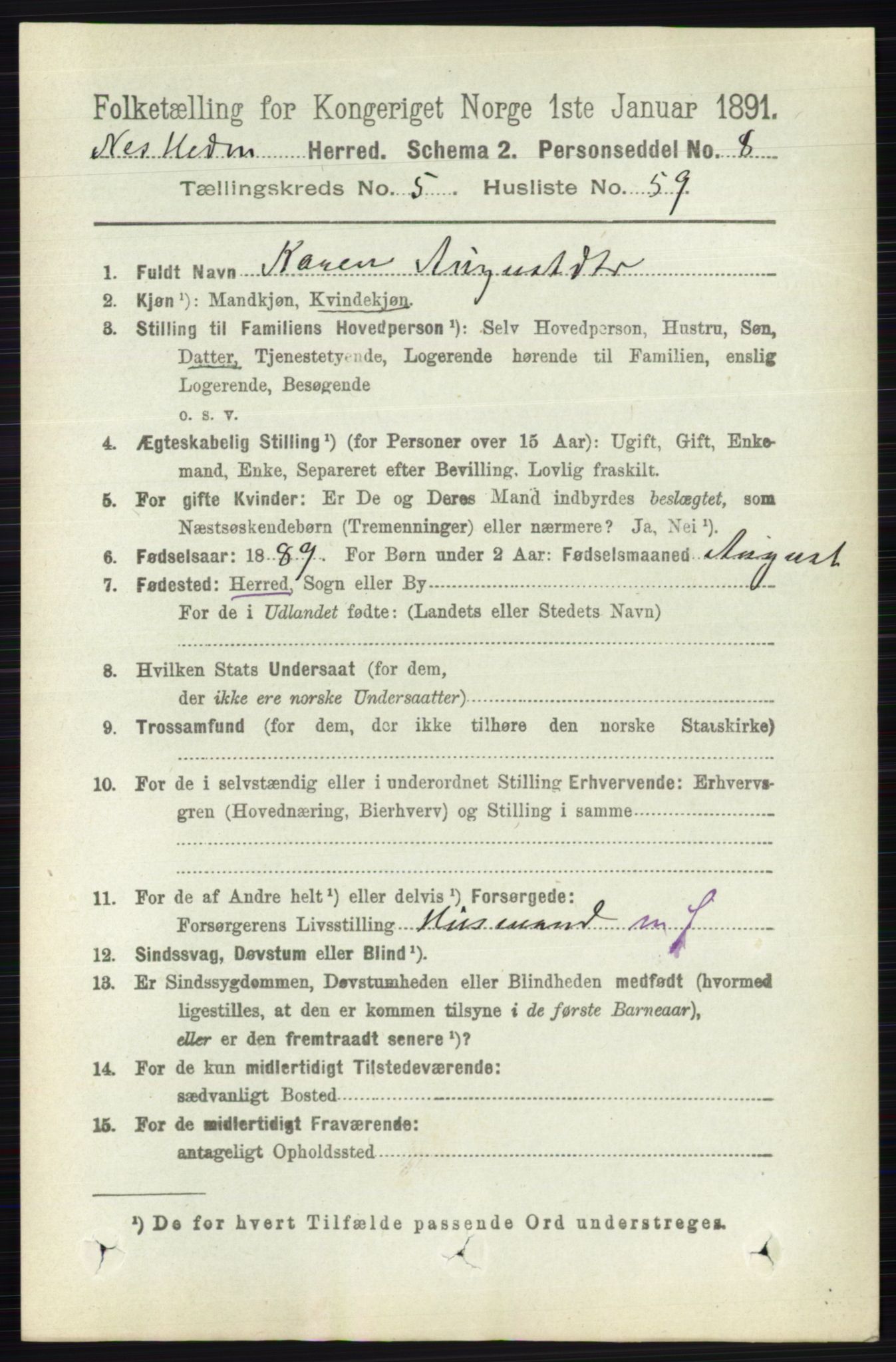 RA, 1891 census for 0411 Nes, 1891, p. 2986