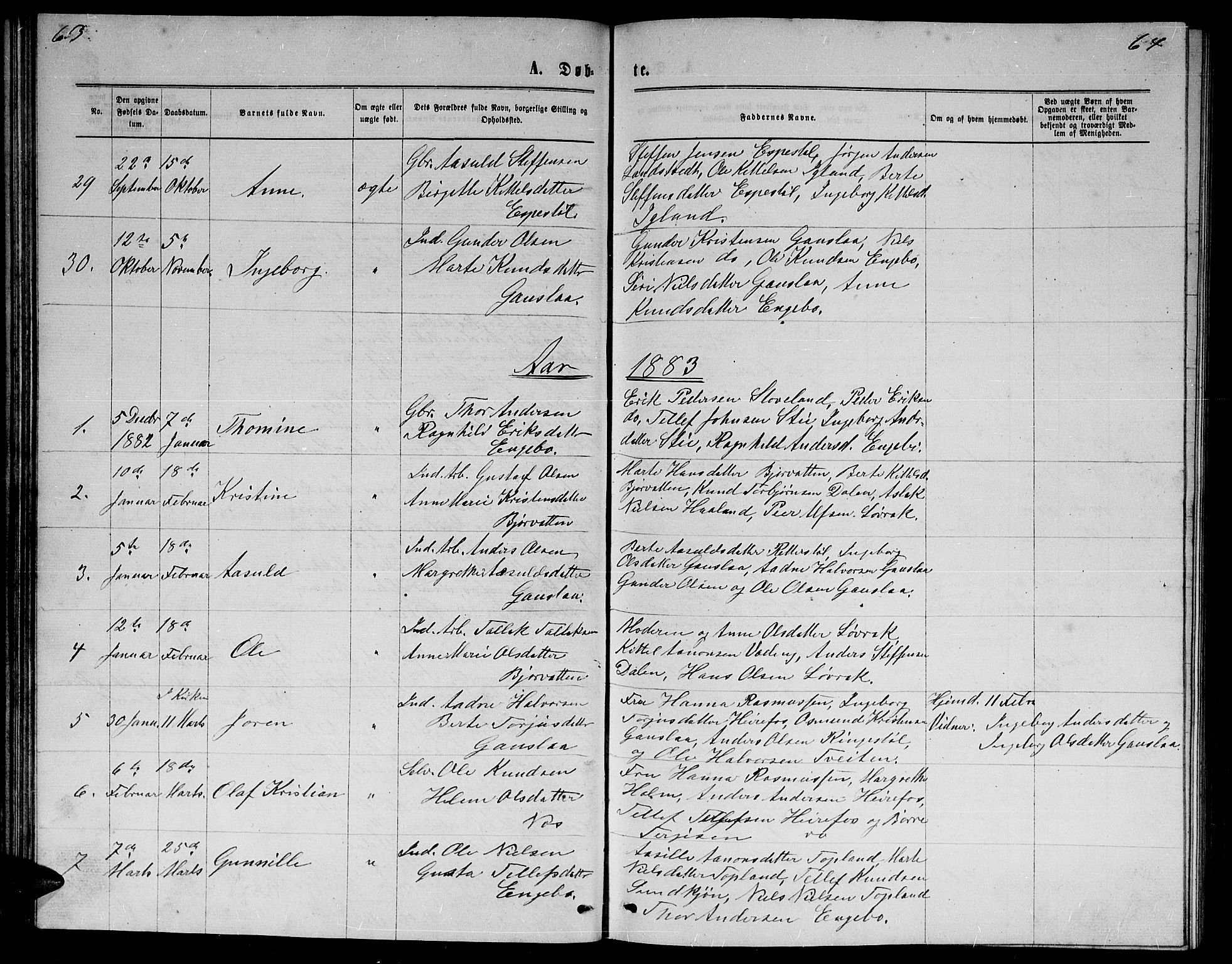 Herefoss sokneprestkontor, AV/SAK-1111-0019/F/Fb/Fba/L0002: Parish register (copy) no. B 2, 1868-1886, p. 63-64