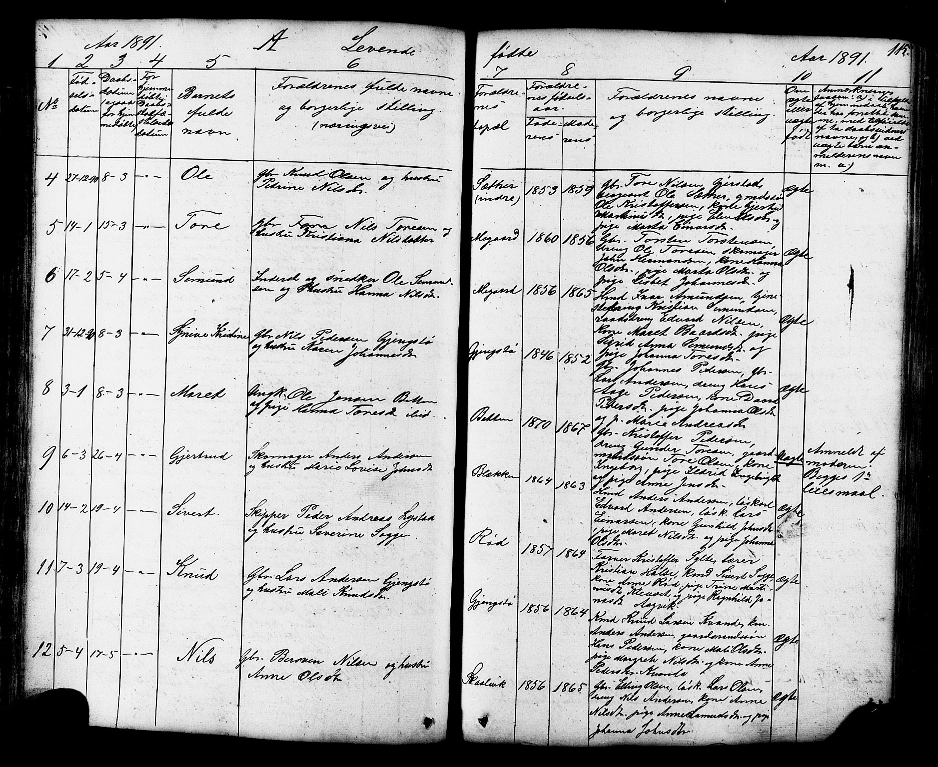 Ministerialprotokoller, klokkerbøker og fødselsregistre - Møre og Romsdal, AV/SAT-A-1454/576/L0890: Parish register (copy) no. 576C01, 1837-1908, p. 115