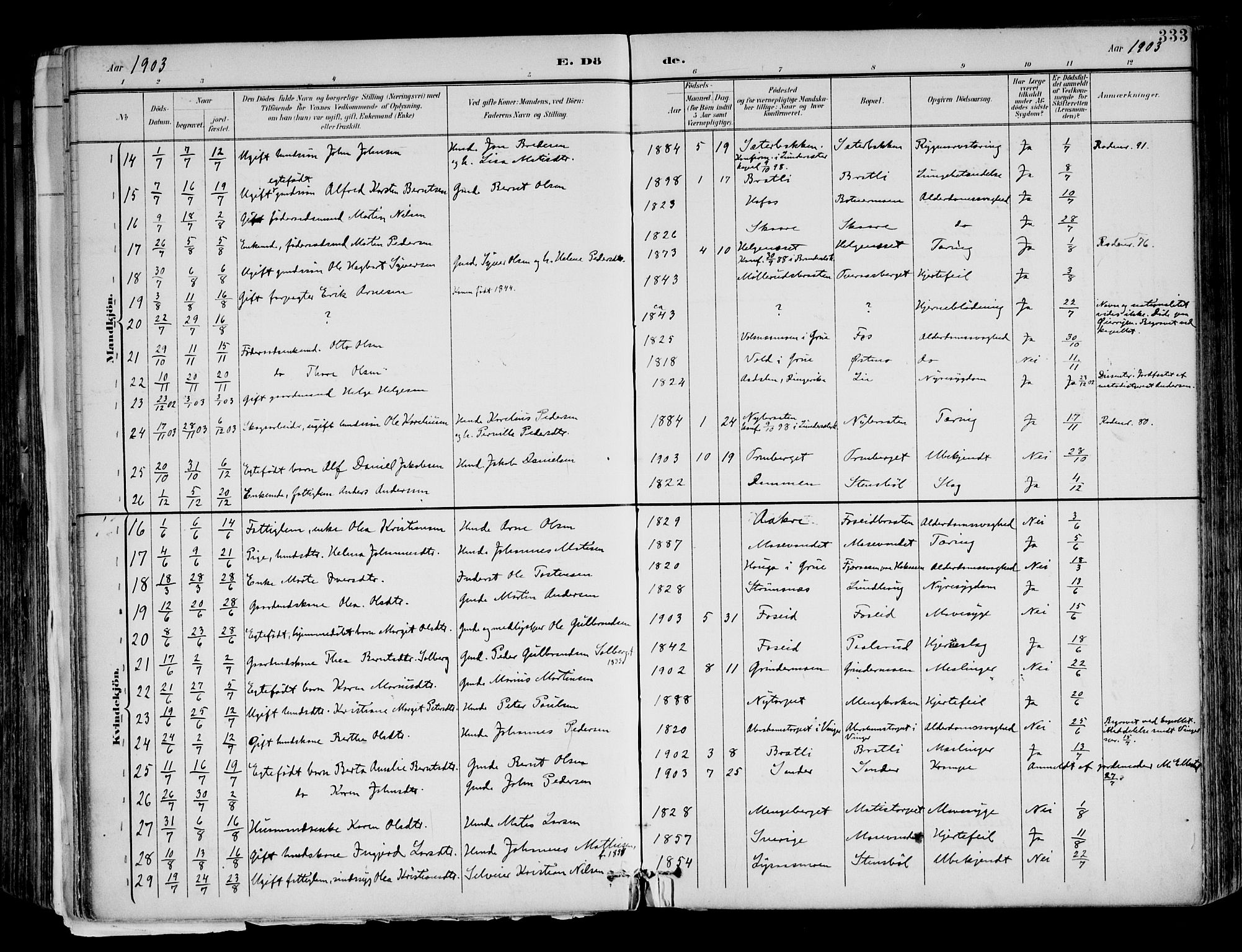 Brandval prestekontor, AV/SAH-PREST-034/H/Ha/Haa/L0003: Parish register (official) no. 3, 1894-1909, p. 333