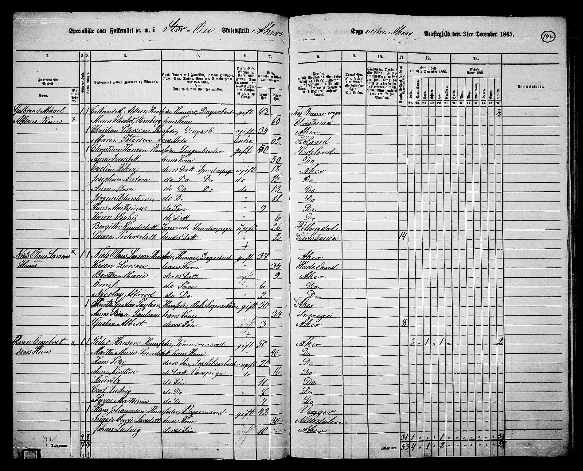 RA, 1865 census for Vestre Aker, 1865, p. 274