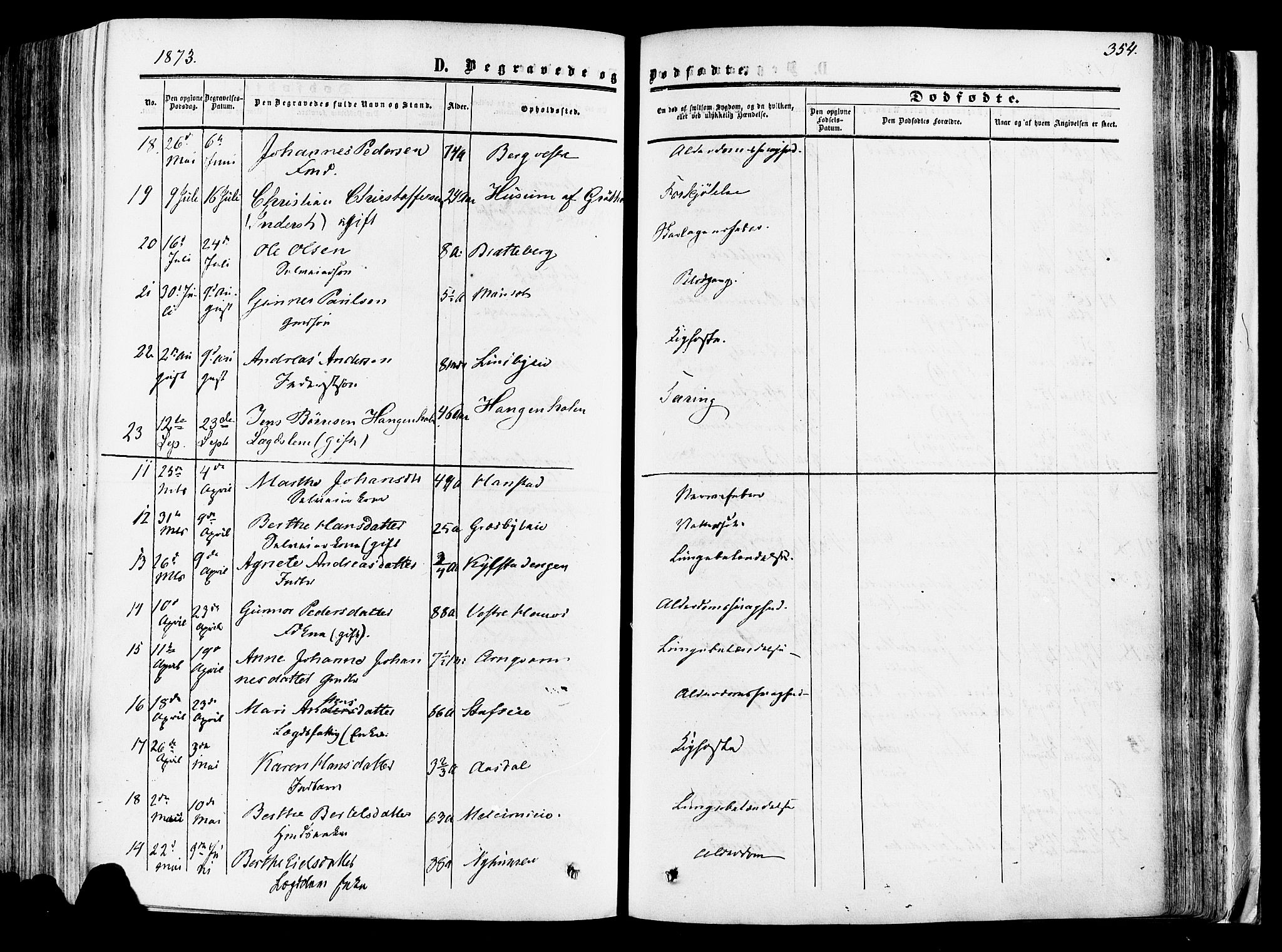 Vang prestekontor, Hedmark, AV/SAH-PREST-008/H/Ha/Haa/L0013: Parish register (official) no. 13, 1855-1879, p. 354