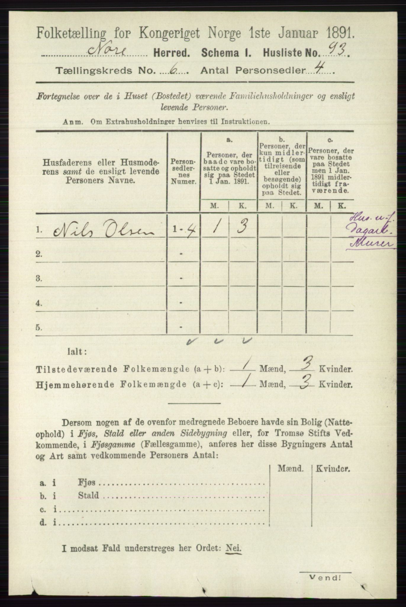 RA, 1891 census for 0633 Nore, 1891, p. 1953