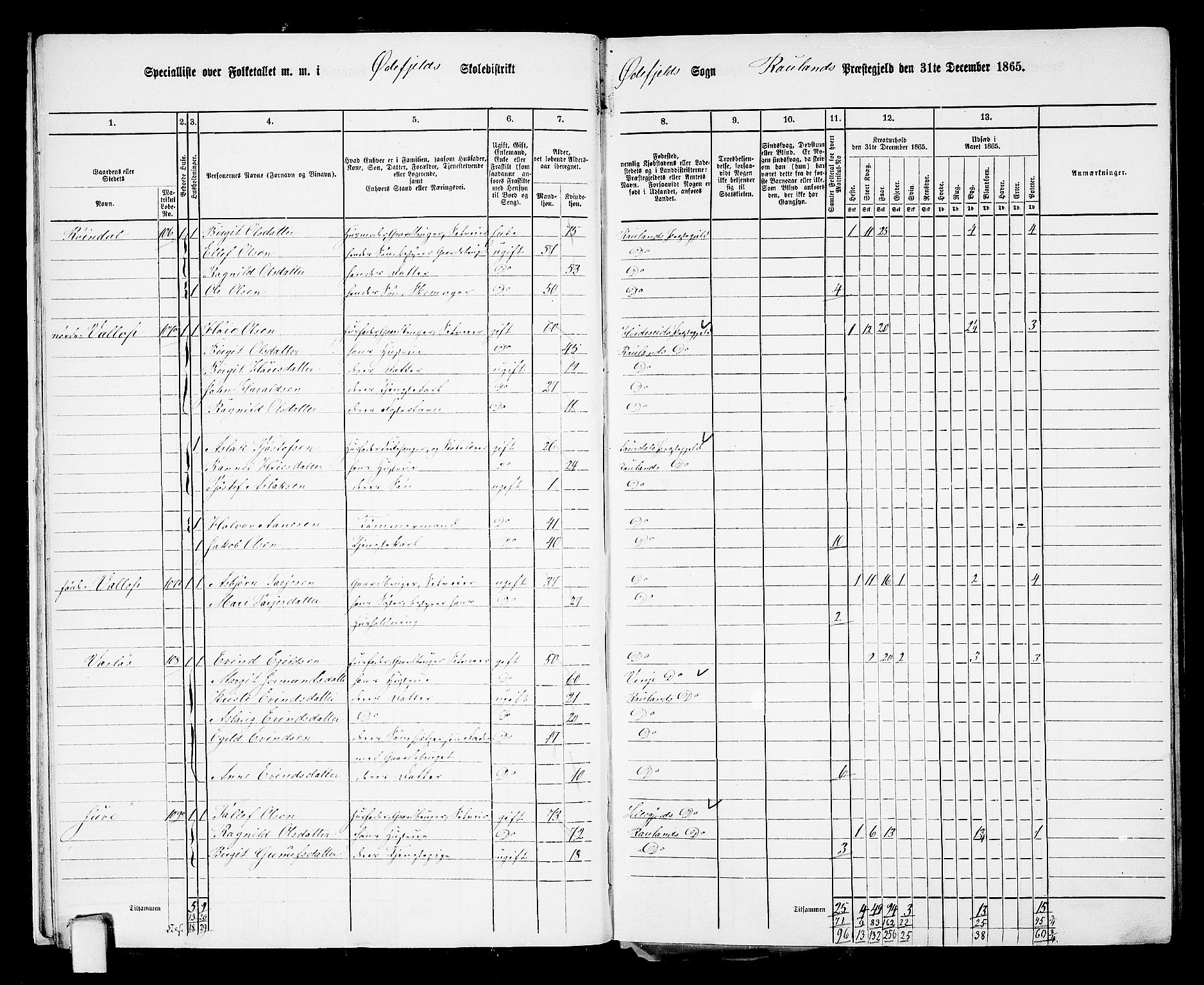 RA, 1865 census for Rauland, 1865, p. 15