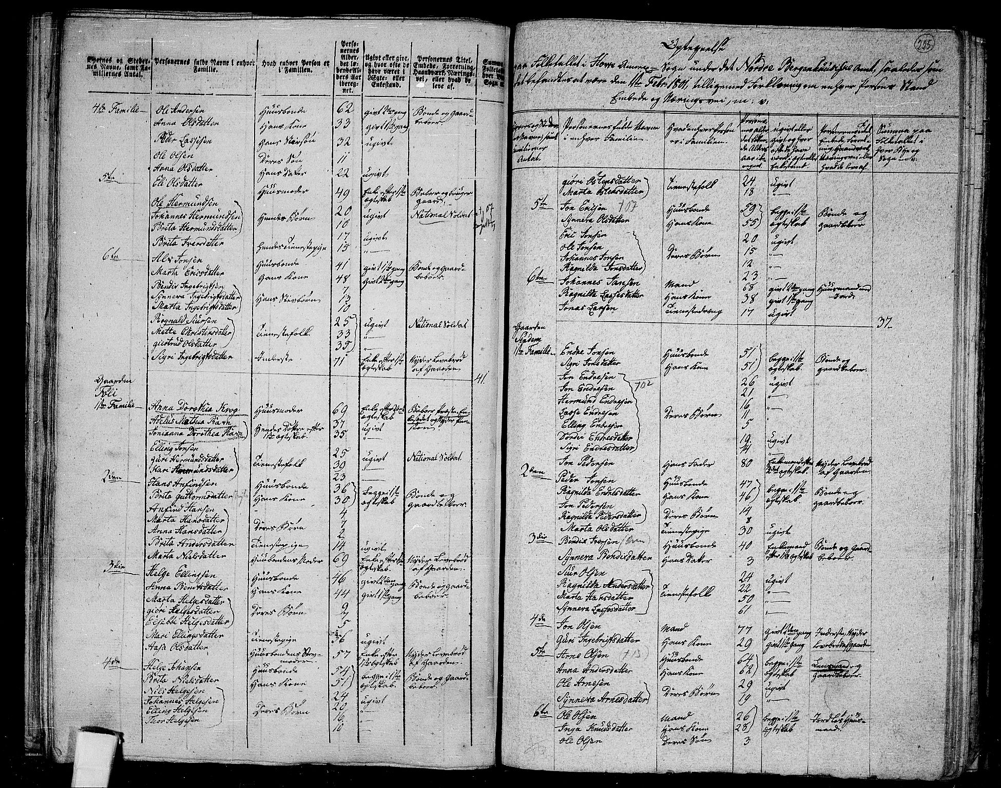 RA, 1801 census for 1417P Vik, 1801, p. 224b-225a