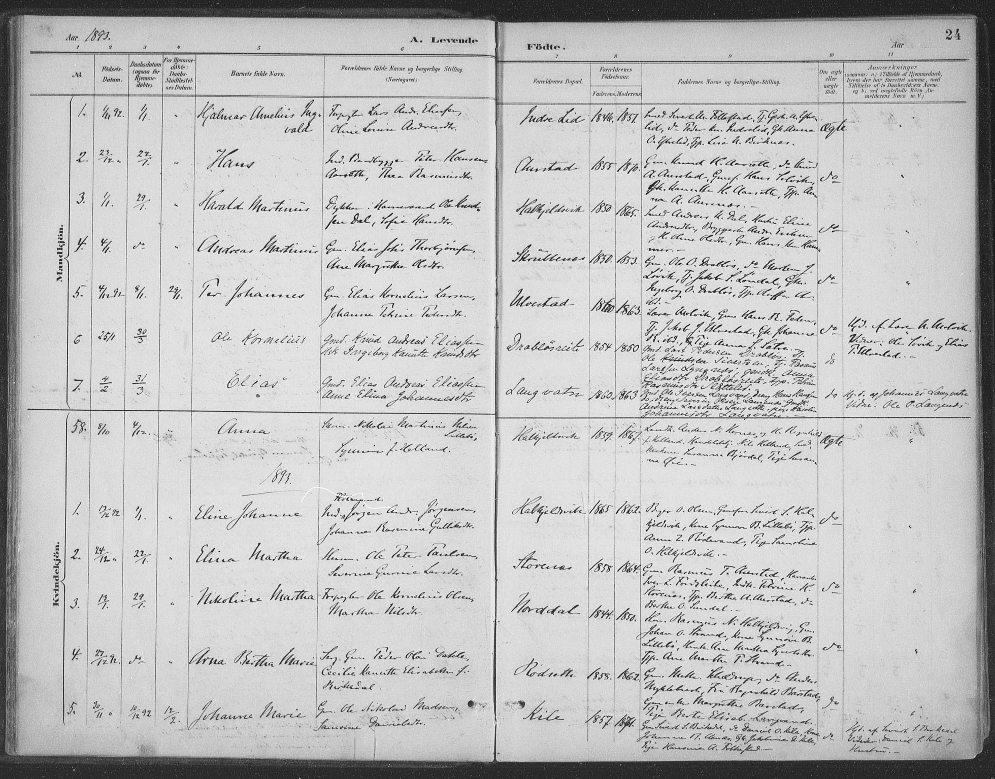 Ministerialprotokoller, klokkerbøker og fødselsregistre - Møre og Romsdal, AV/SAT-A-1454/511/L0142: Parish register (official) no. 511A09, 1891-1905, p. 24