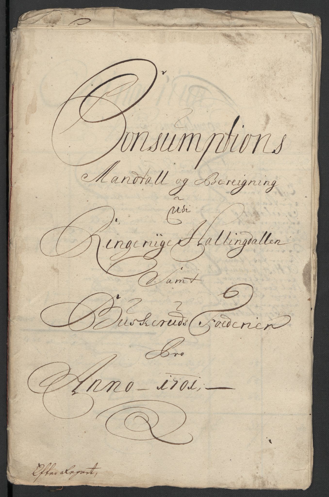 Rentekammeret inntil 1814, Reviderte regnskaper, Fogderegnskap, AV/RA-EA-4092/R22/L1458: Fogderegnskap Ringerike, Hallingdal og Buskerud, 1701, p. 262