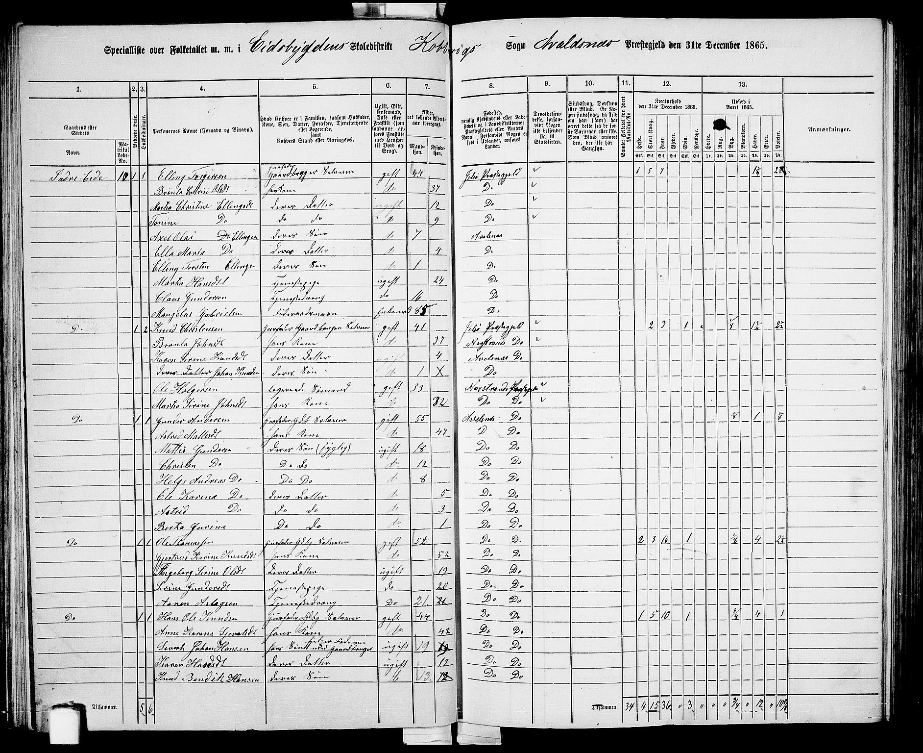 RA, 1865 census for Avaldsnes, 1865, p. 62