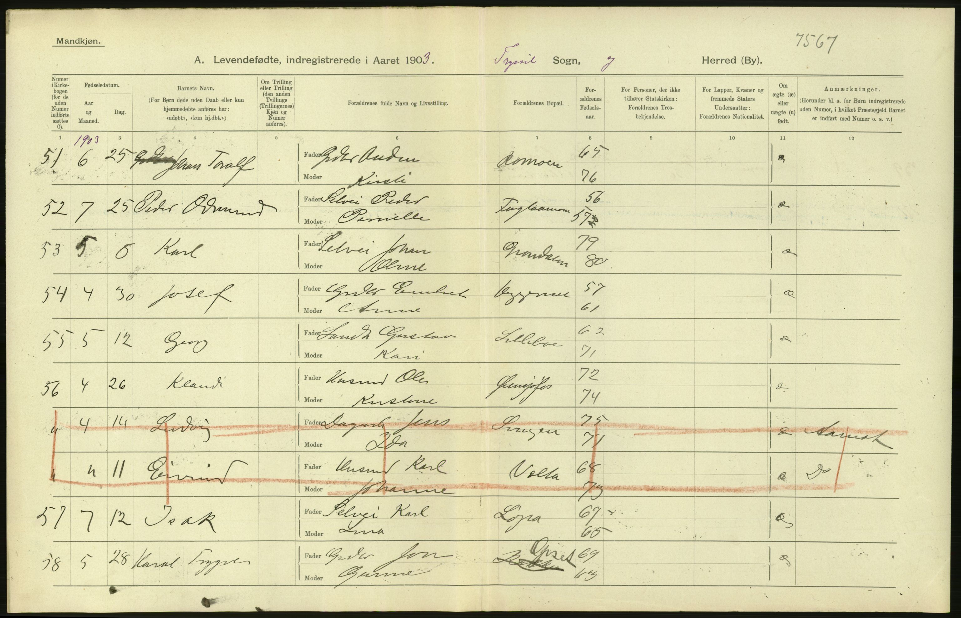 Statistisk sentralbyrå, Sosiodemografiske emner, Befolkning, AV/RA-S-2228/D/Df/Dfa/Dfaa/L0005: Hedemarkens amt: Fødte, gifte, døde, 1903, p. 4