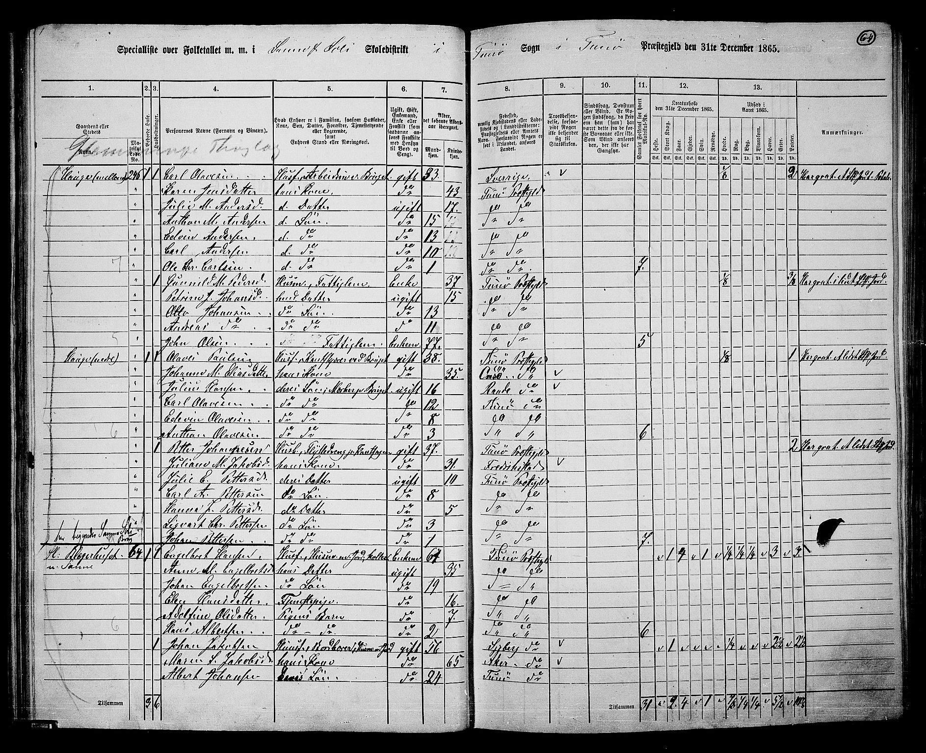 RA, 1865 census for Tune, 1865, p. 60