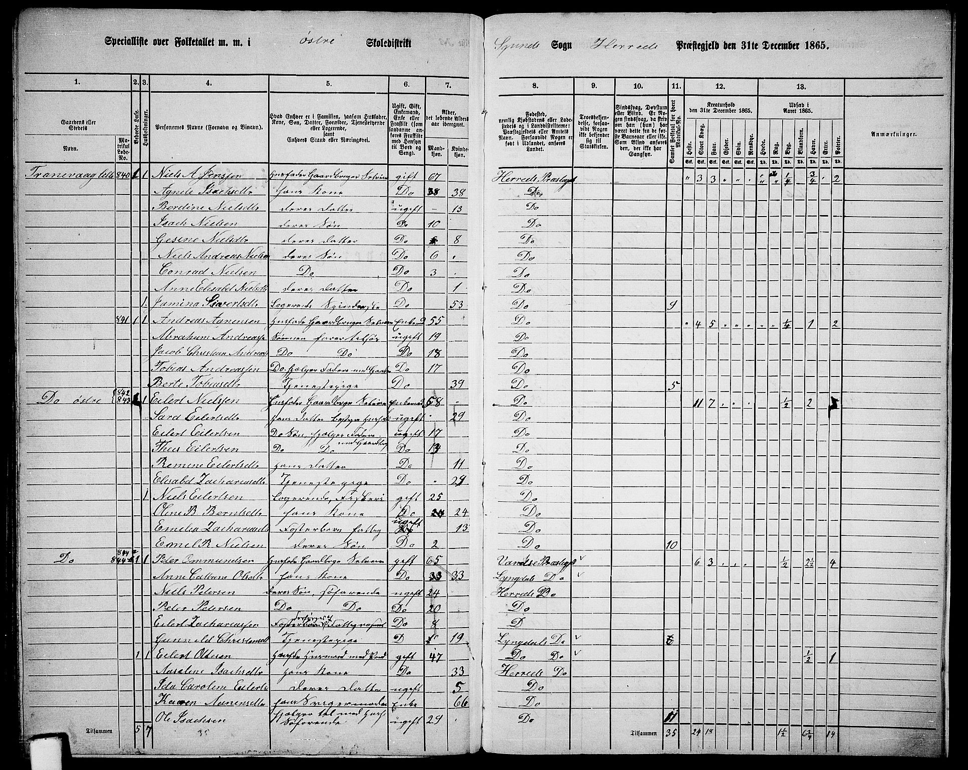 RA, 1865 census for Herad, 1865, p. 92