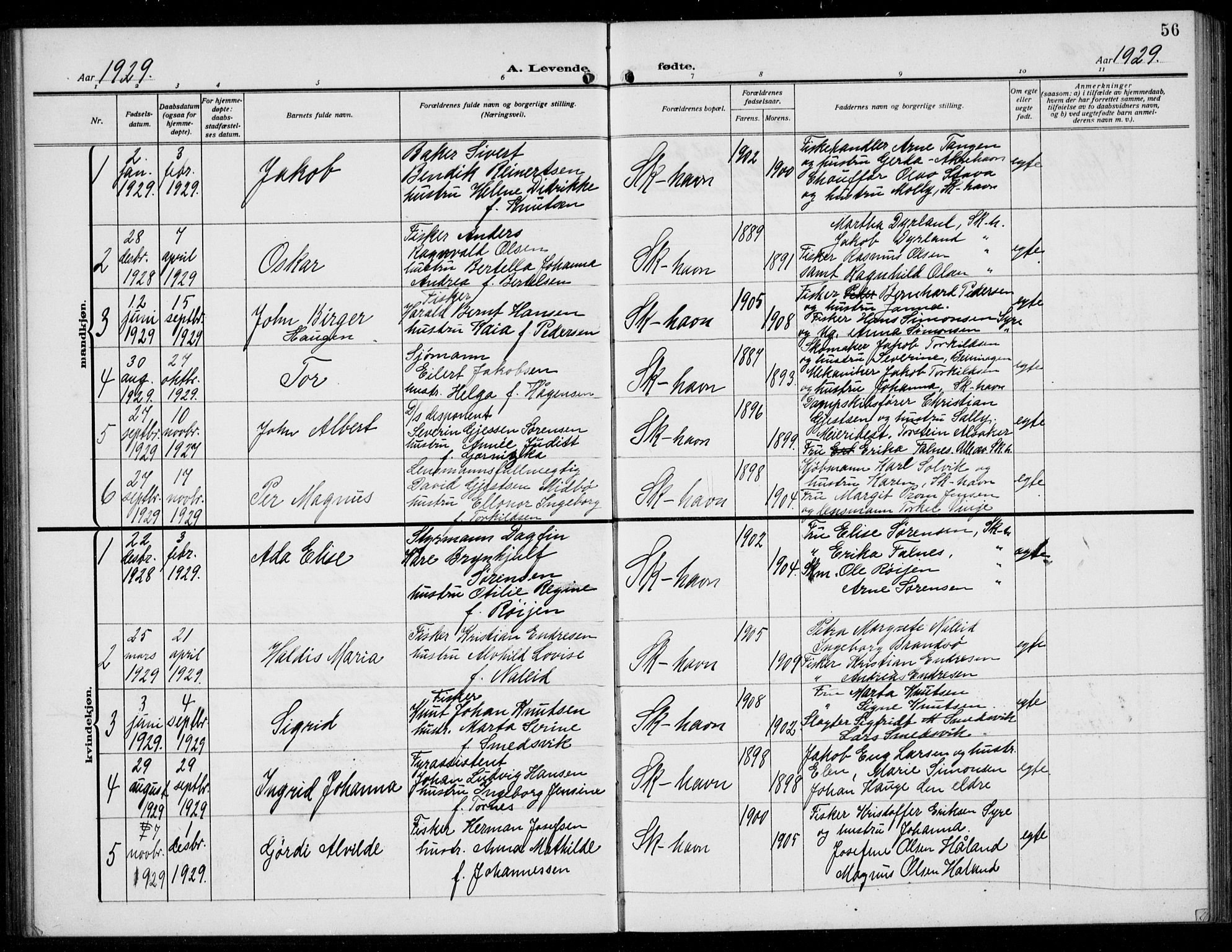 Skudenes sokneprestkontor, SAST/A -101849/H/Ha/Hab/L0010: Parish register (copy) no. B 10, 1908-1936, p. 56