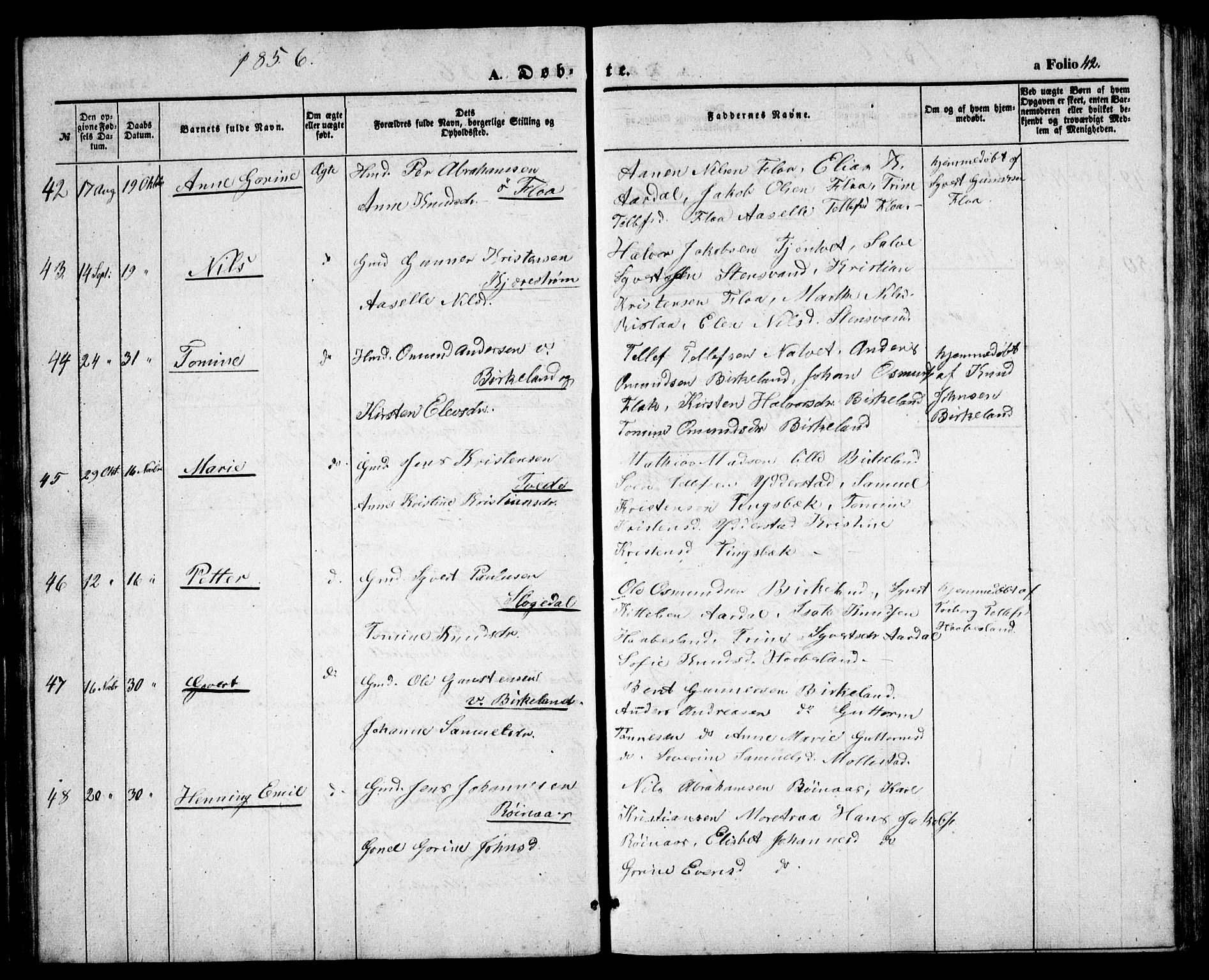 Birkenes sokneprestkontor, AV/SAK-1111-0004/F/Fb/L0002: Parish register (copy) no. B 2, 1849-1876, p. 42