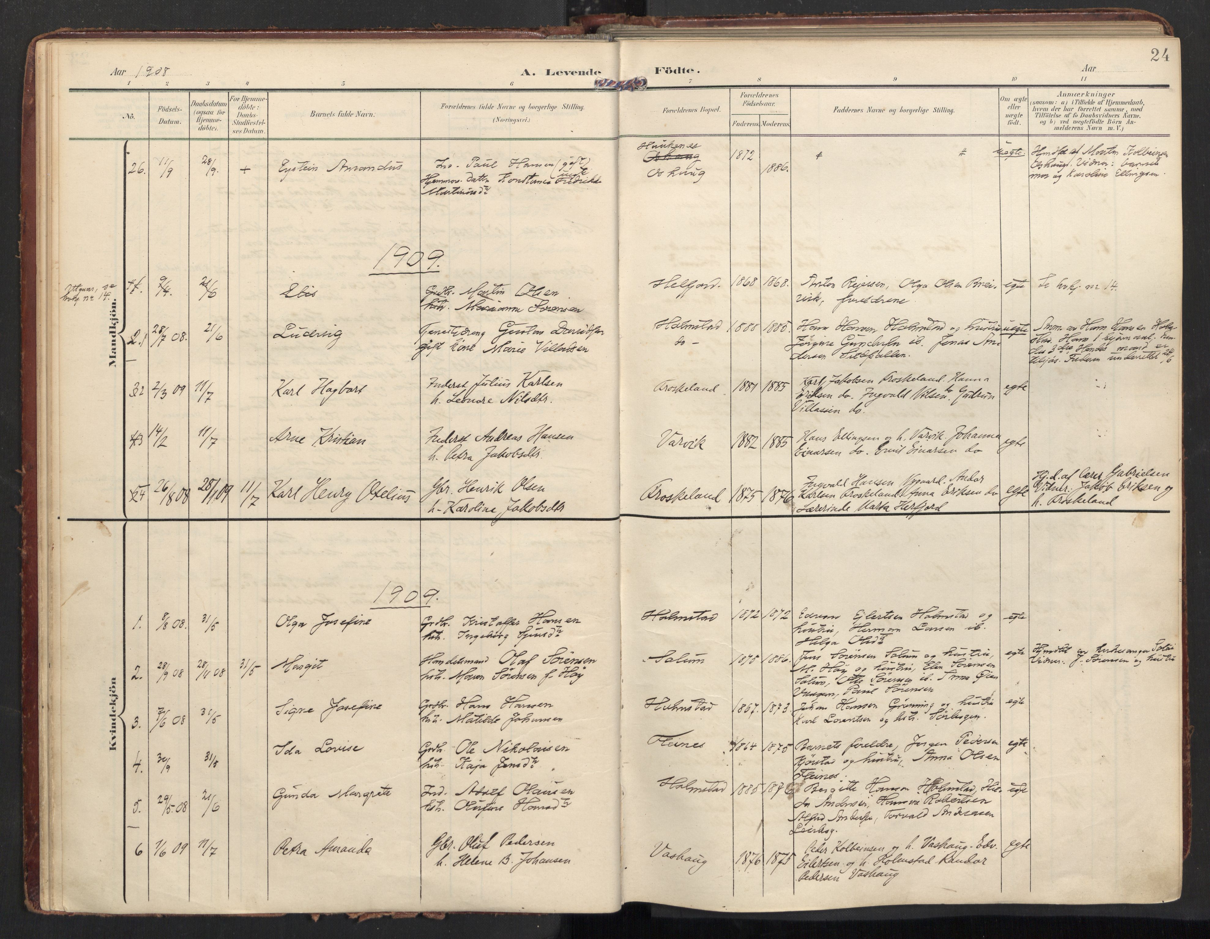 Ministerialprotokoller, klokkerbøker og fødselsregistre - Nordland, SAT/A-1459/890/L1287: Parish register (official) no. 890A02, 1903-1915, p. 24