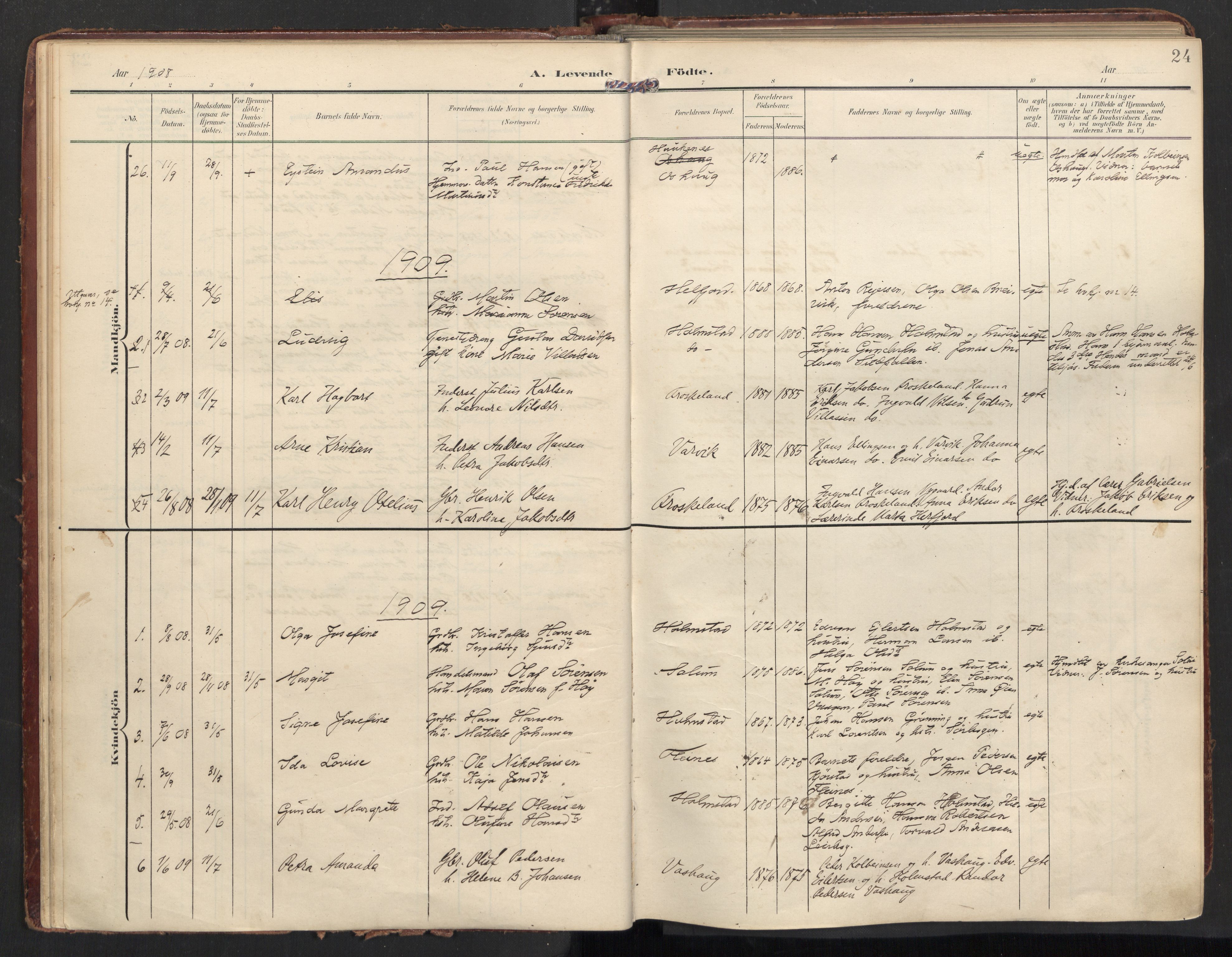 Ministerialprotokoller, klokkerbøker og fødselsregistre - Nordland, AV/SAT-A-1459/890/L1287: Parish register (official) no. 890A02, 1903-1915, p. 24