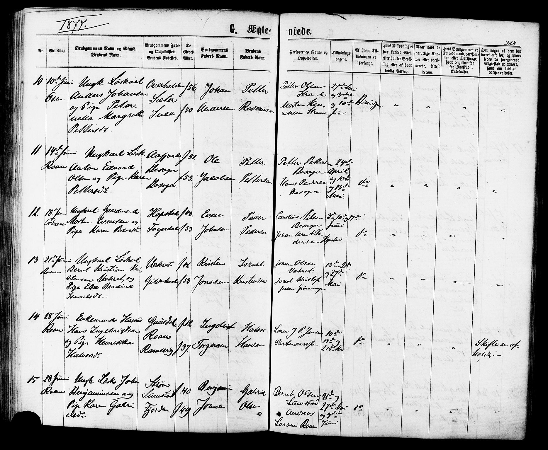 Ministerialprotokoller, klokkerbøker og fødselsregistre - Sør-Trøndelag, AV/SAT-A-1456/657/L0706: Parish register (official) no. 657A07, 1867-1878, p. 324