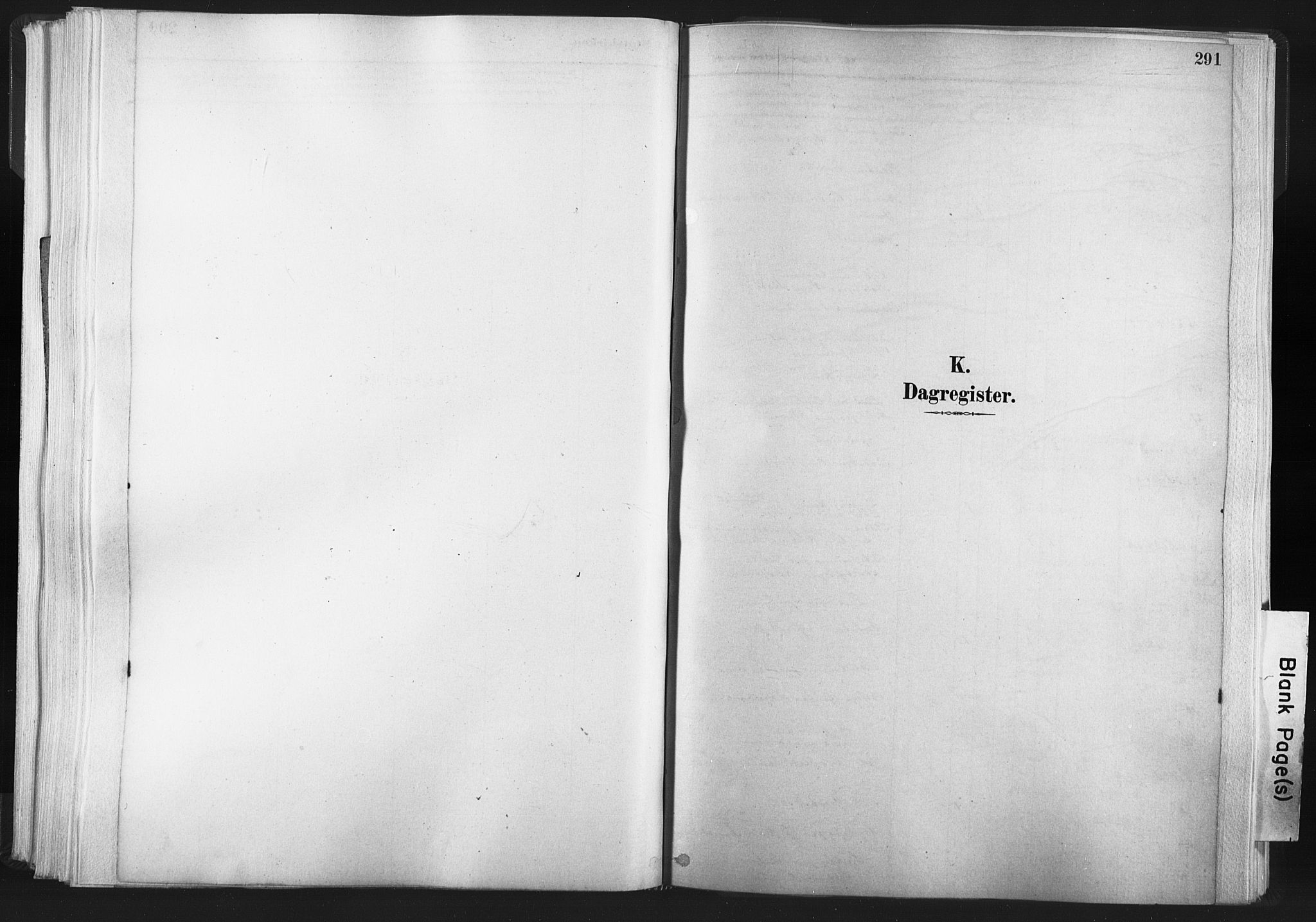 Ministerialprotokoller, klokkerbøker og fødselsregistre - Nord-Trøndelag, SAT/A-1458/749/L0474: Parish register (official) no. 749A08, 1887-1903, p. 291
