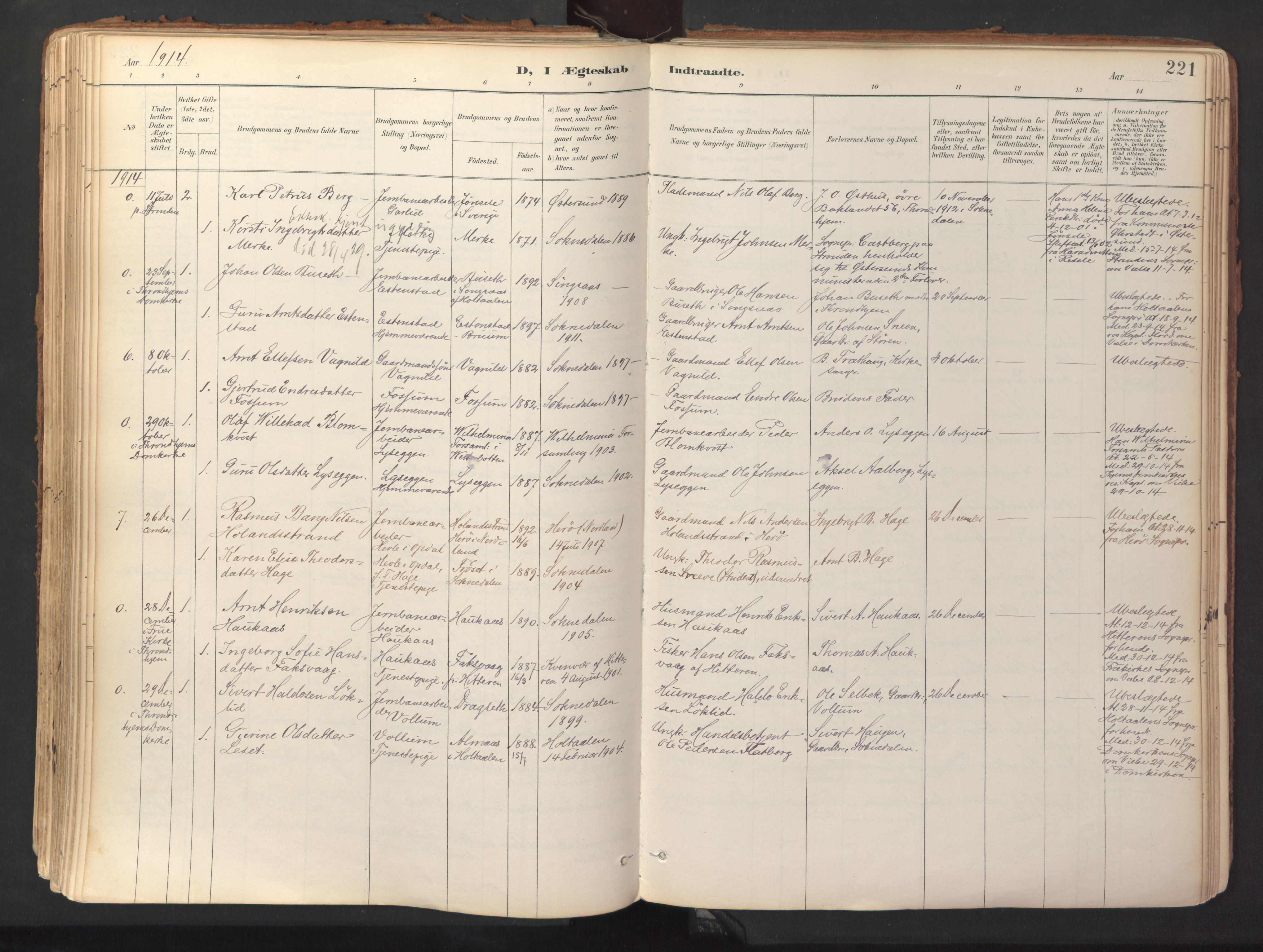 Ministerialprotokoller, klokkerbøker og fødselsregistre - Sør-Trøndelag, SAT/A-1456/689/L1041: Parish register (official) no. 689A06, 1891-1923, p. 221
