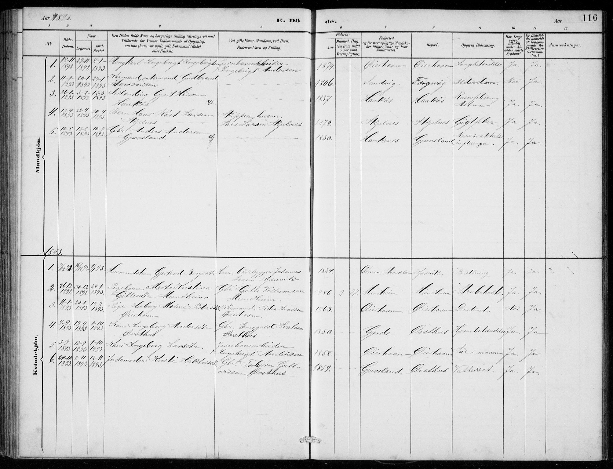 Strandebarm sokneprestembete, SAB/A-78401/H/Hab: Parish register (copy) no. C  1, 1891-1913, p. 116