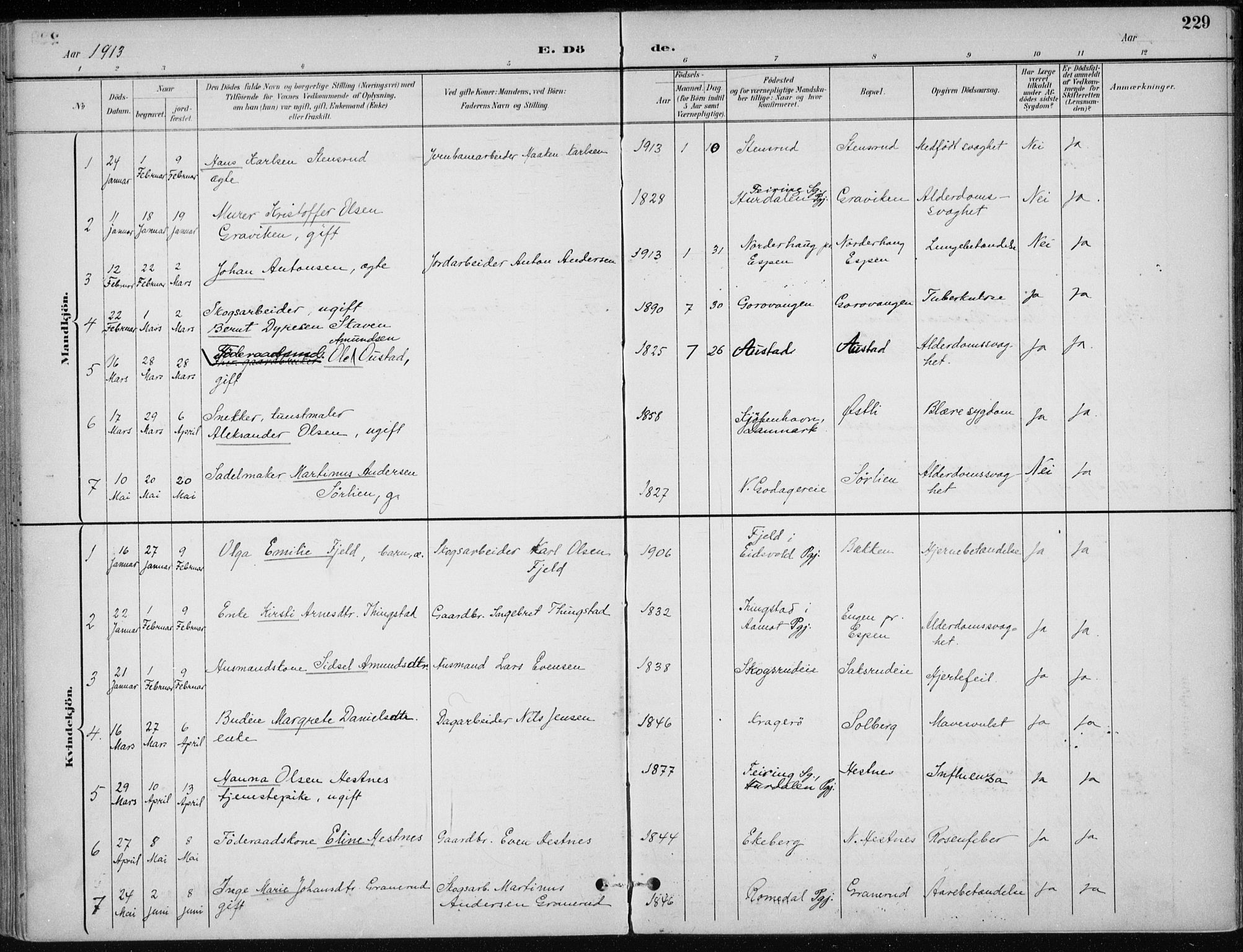 Stange prestekontor, SAH/PREST-002/K/L0023: Parish register (official) no. 23, 1897-1920, p. 229