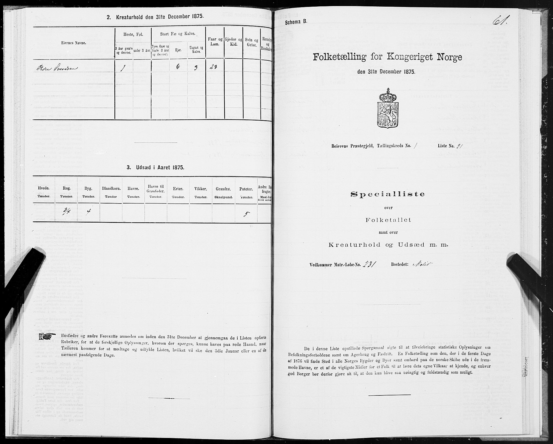 SAT, 1875 census for 1839P Beiarn, 1875, p. 1061