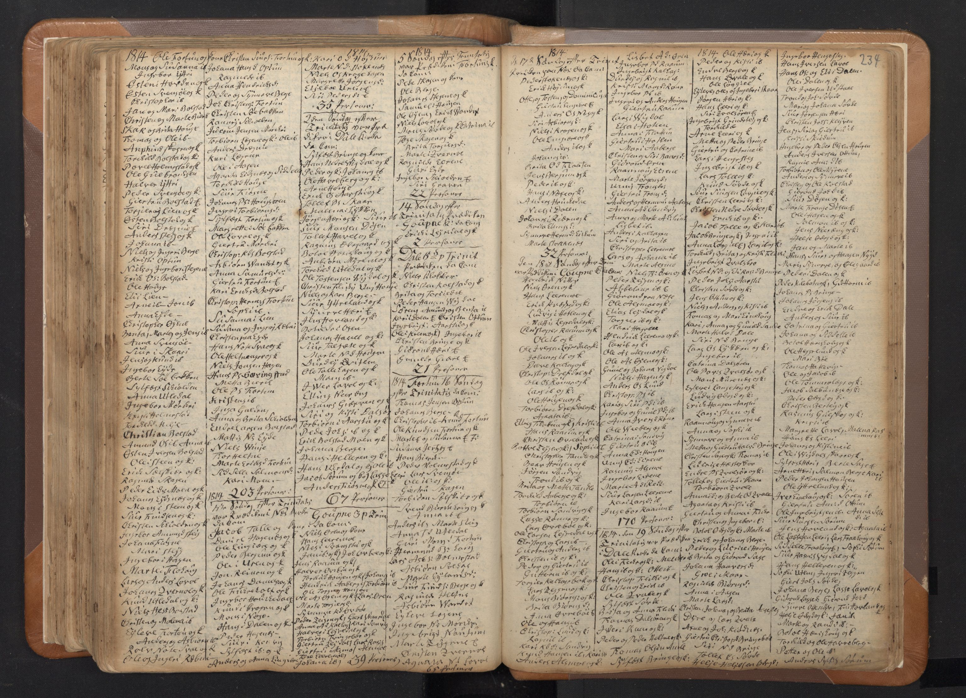 Luster sokneprestembete, AV/SAB-A-81101/H/Haa/Haaa/L0002: Parish register (official) no. A 2, 1751-1796, p. 233b-234a