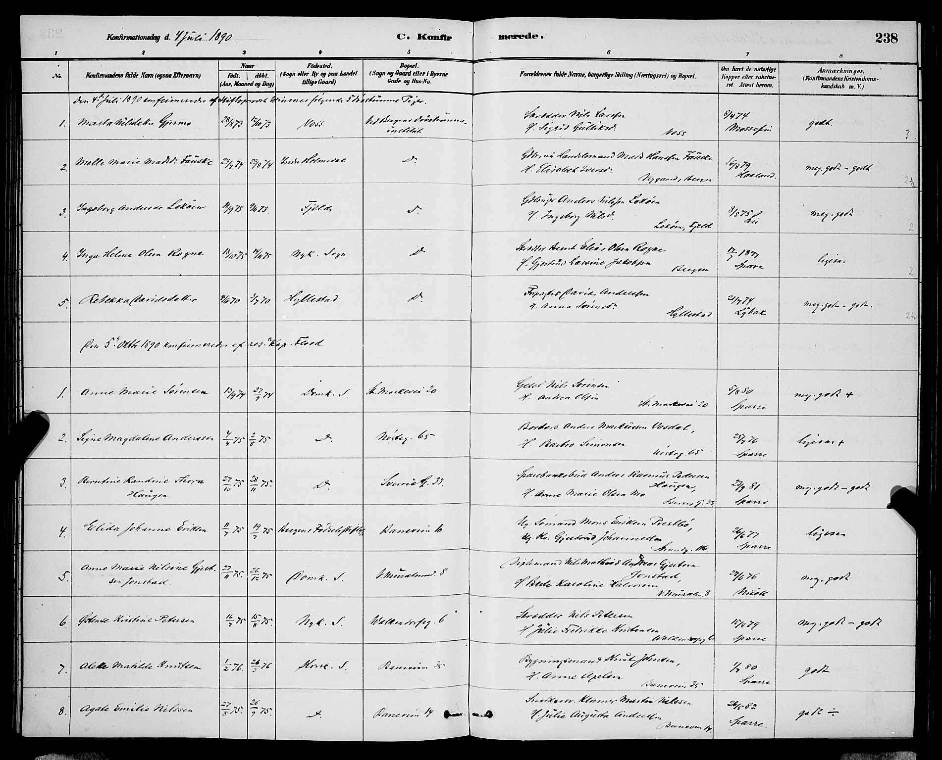 Domkirken sokneprestembete, AV/SAB-A-74801/H/Hab/L0024: Parish register (copy) no. C 4, 1880-1899, p. 238