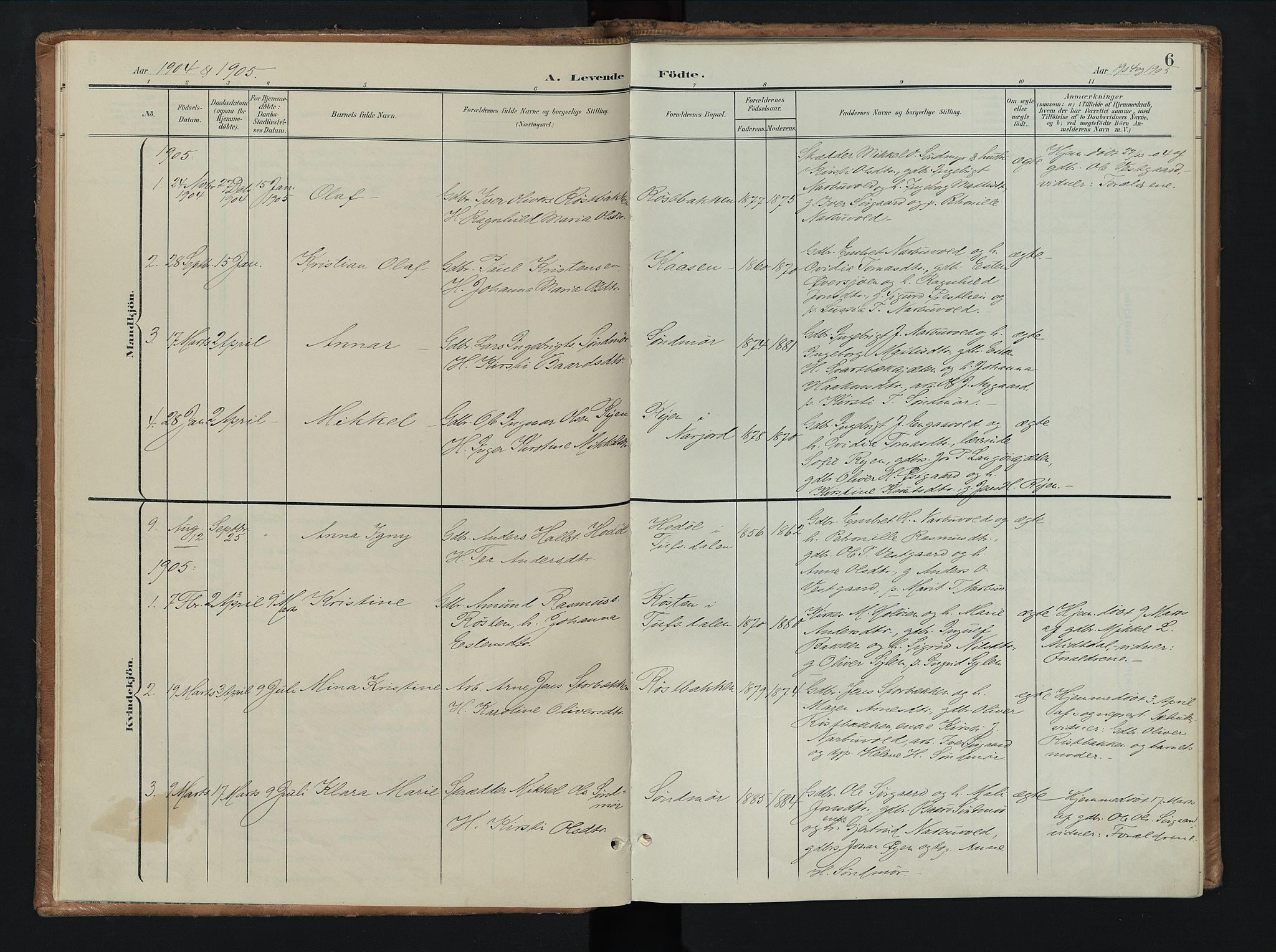 Tolga prestekontor, SAH/PREST-062/K/L0010: Parish register (official) no. 10, 1901-1915, p. 6