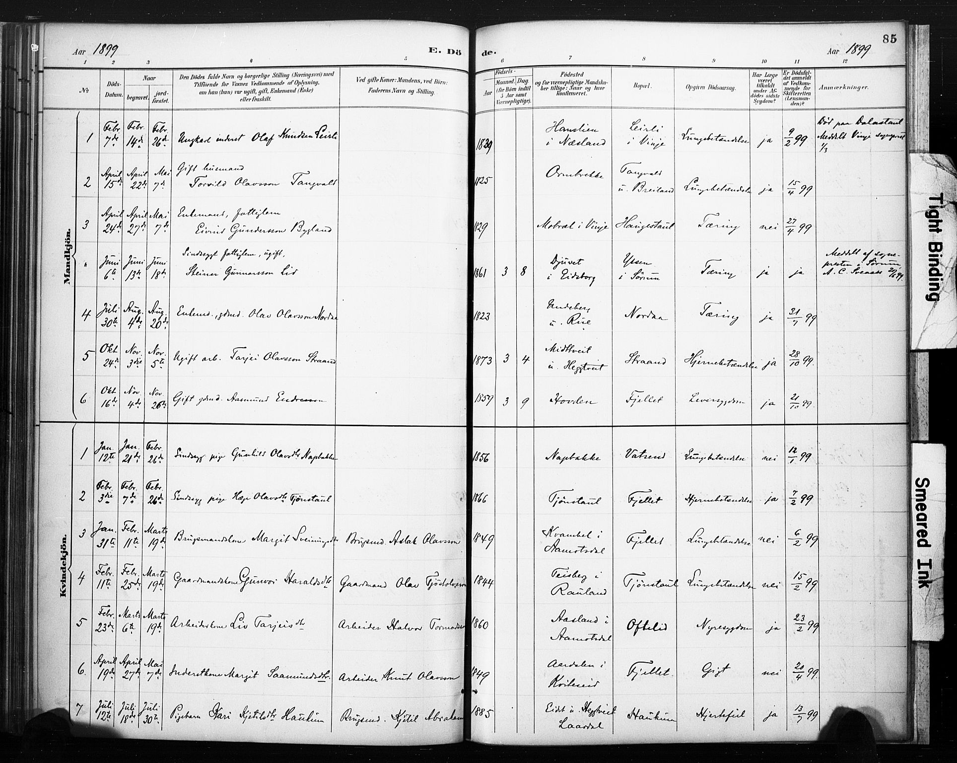 Lårdal kirkebøker, SAKO/A-284/F/Fc/L0002: Parish register (official) no. III 2, 1887-1906, p. 85