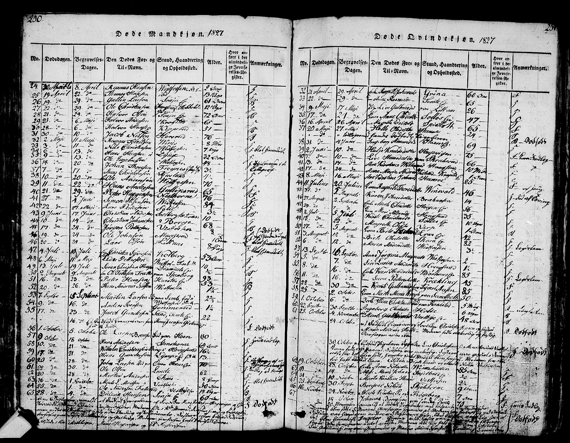 Eiker kirkebøker, AV/SAKO-A-4/G/Ga/L0001: Parish register (copy) no. I 1, 1814-1832, p. 250-251