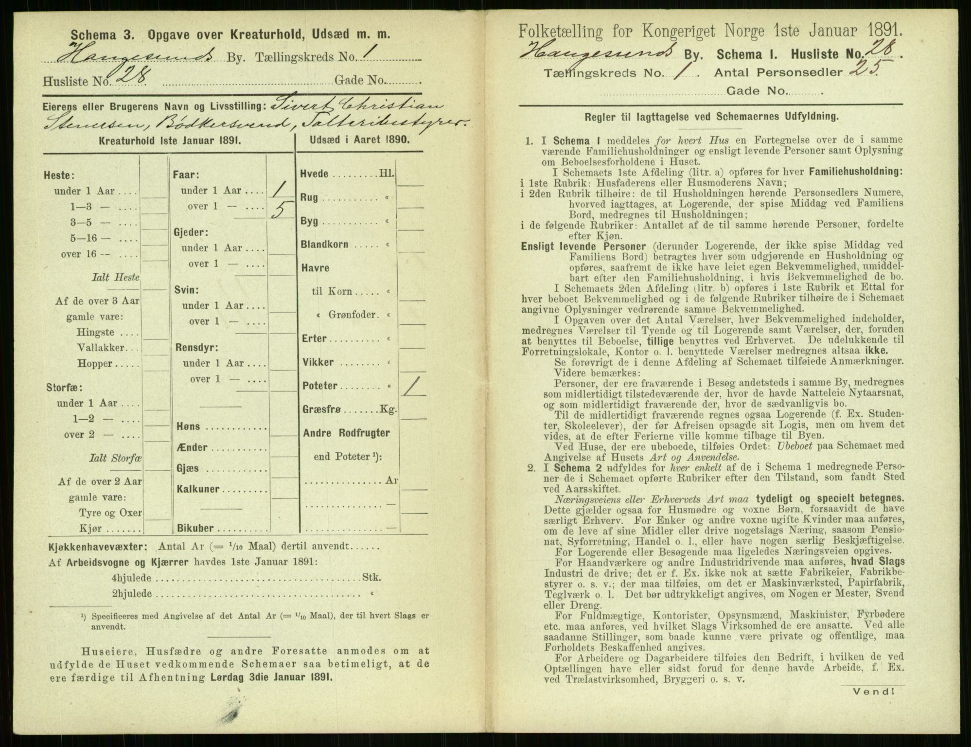 RA, 1891 census for 1106 Haugesund, 1891, p. 91