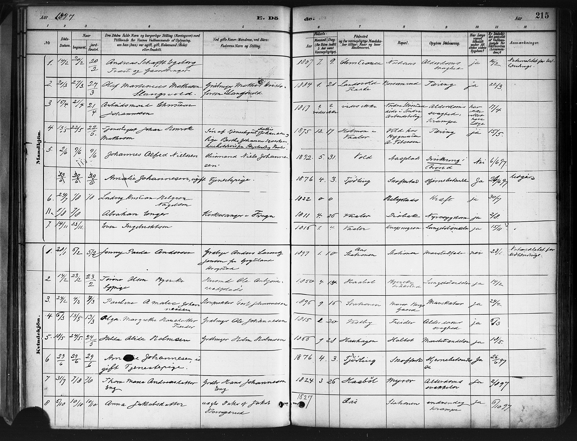 Ås prestekontor Kirkebøker, AV/SAO-A-10894/F/Fa/L0009: Parish register (official) no. I 9, 1881-1900, p. 215