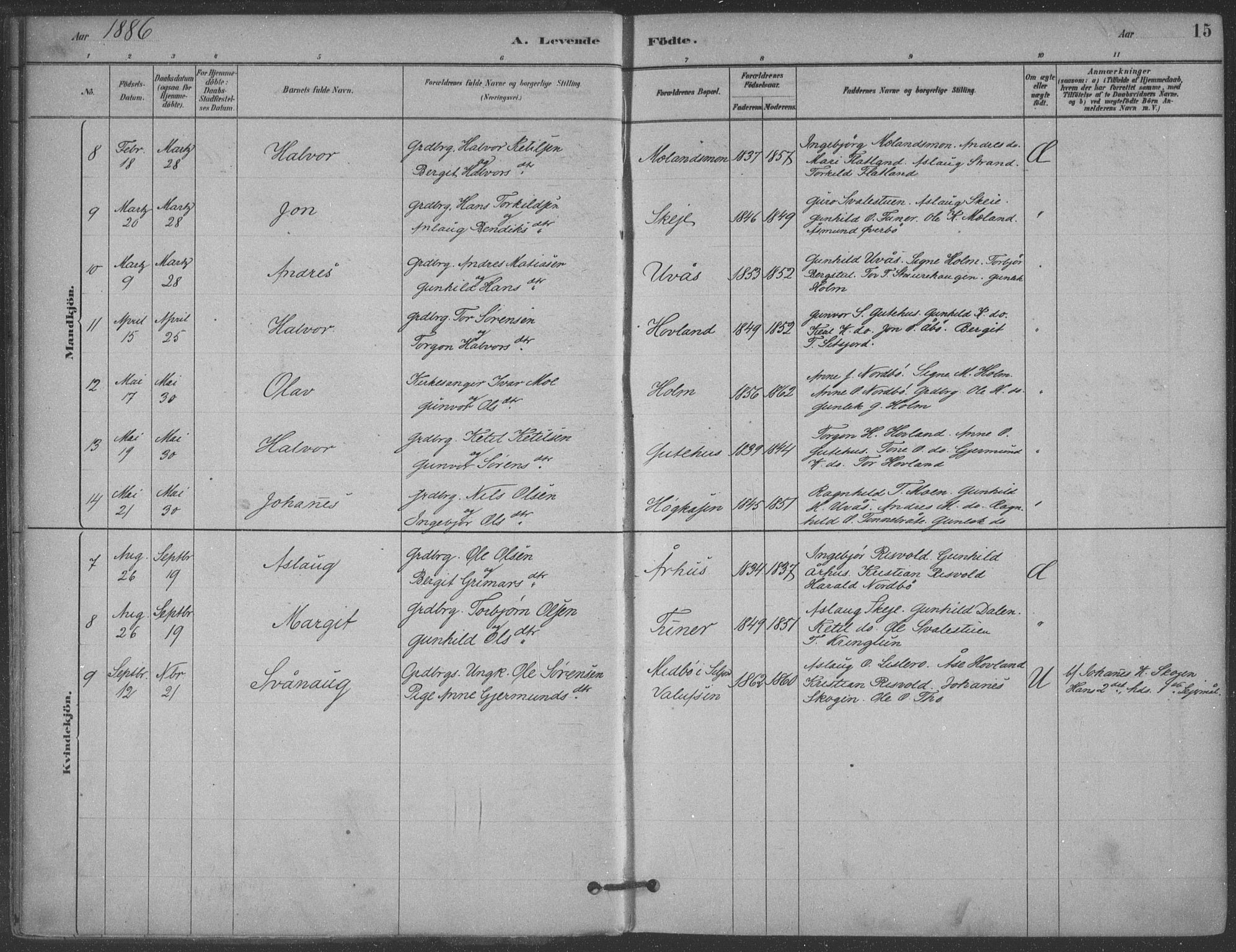 Hjartdal kirkebøker, SAKO/A-270/F/Fa/L0010: Parish register (official) no. I 10, 1880-1929, p. 15
