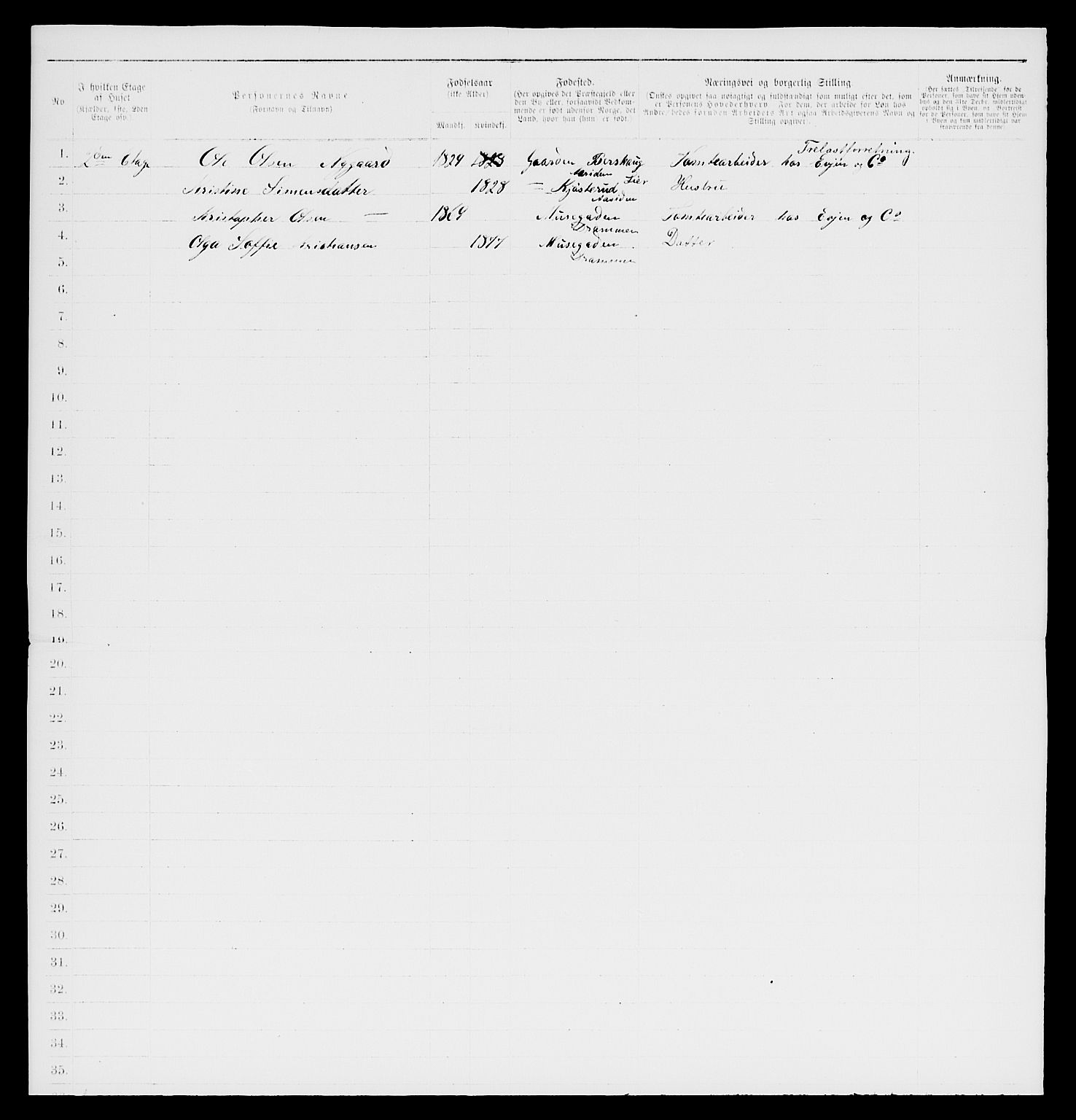 SAKO, 1885 census for 0602 Drammen, 1885, p. 2804