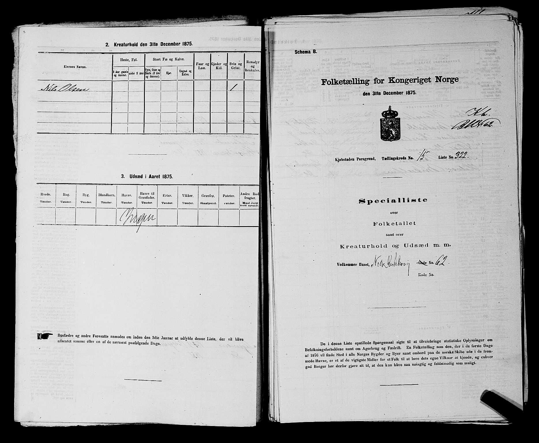 SAKO, 1875 census for 0805P Porsgrunn, 1875, p. 733