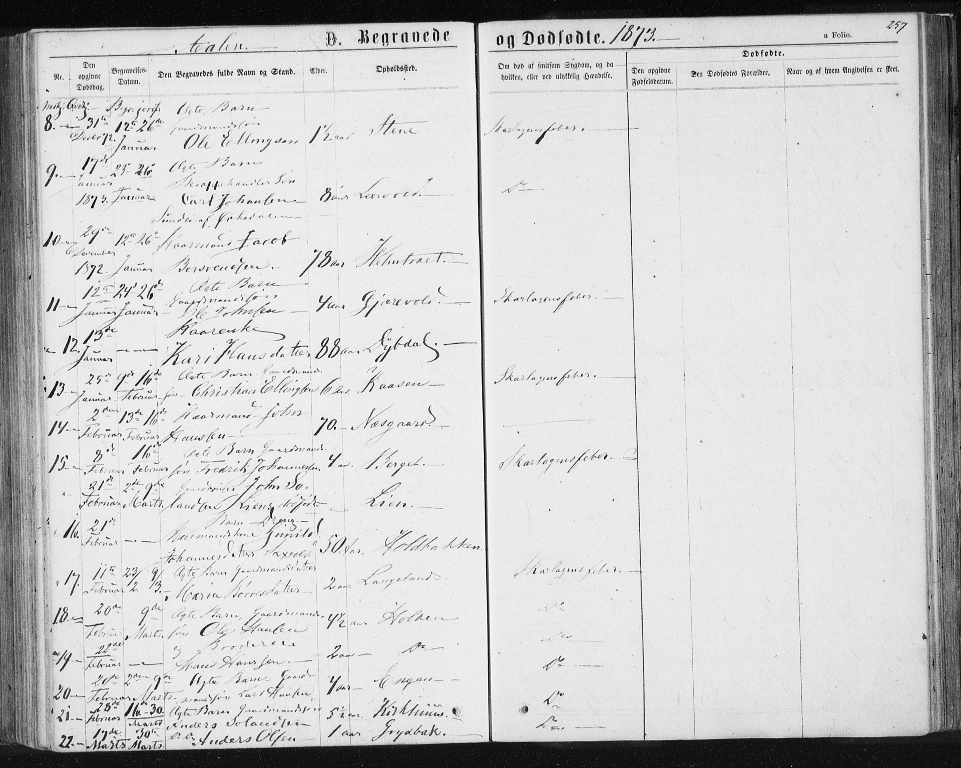 Ministerialprotokoller, klokkerbøker og fødselsregistre - Sør-Trøndelag, AV/SAT-A-1456/685/L0971: Parish register (official) no. 685A08 /3, 1870-1879, p. 257