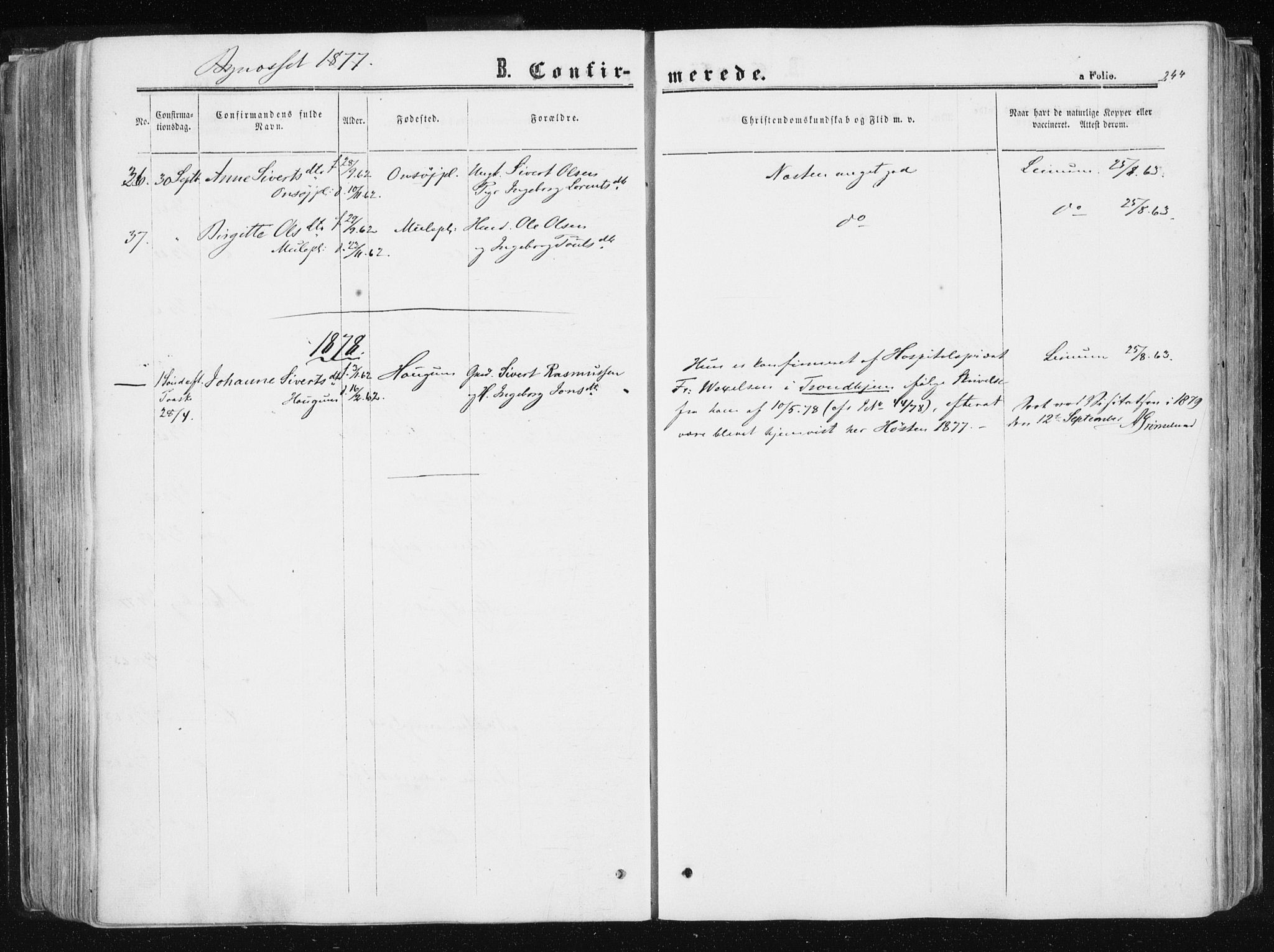 Ministerialprotokoller, klokkerbøker og fødselsregistre - Sør-Trøndelag, AV/SAT-A-1456/612/L0377: Parish register (official) no. 612A09, 1859-1877, p. 244