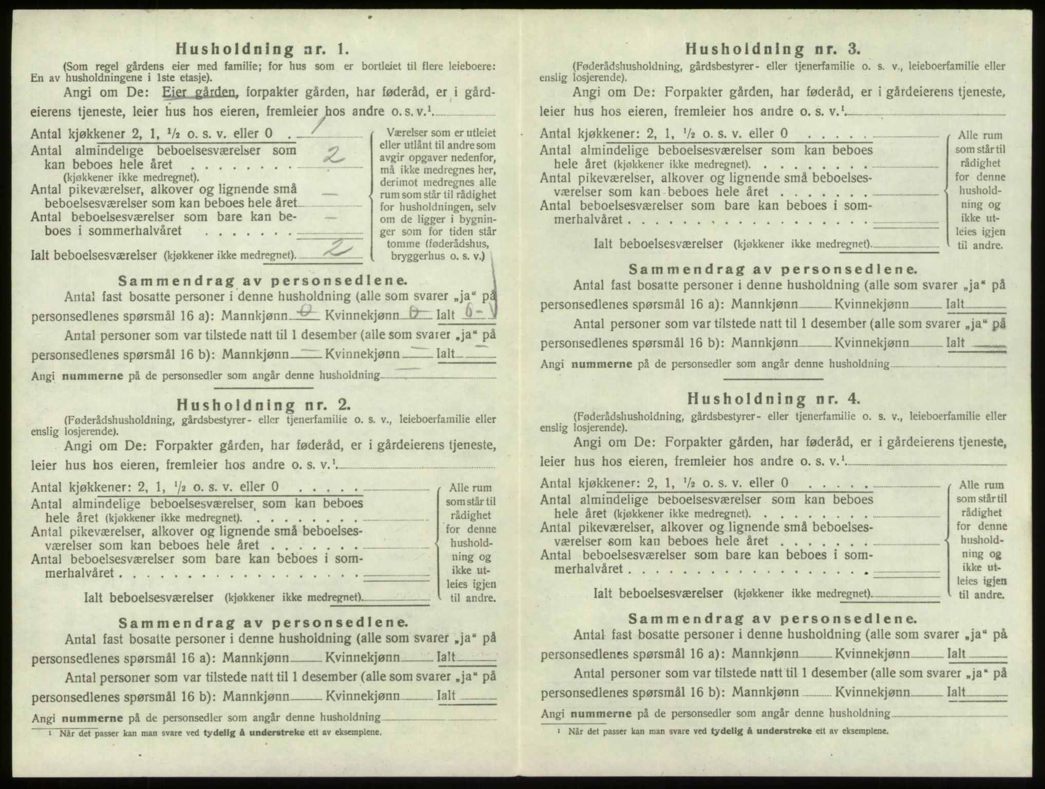 SAO, 1920 census for Hvaler, 1920, p. 1307